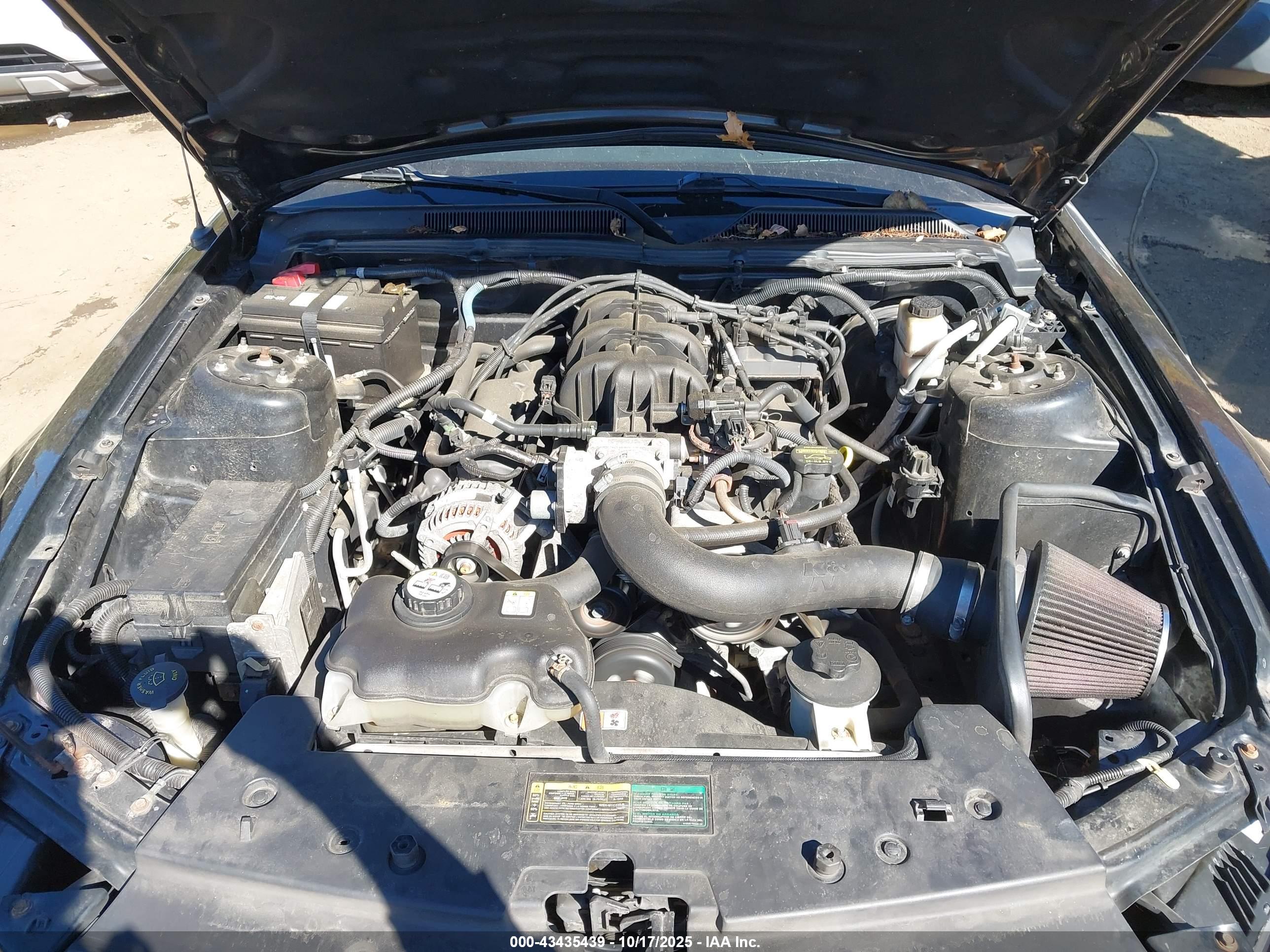 FORD MUSTANG image 10
