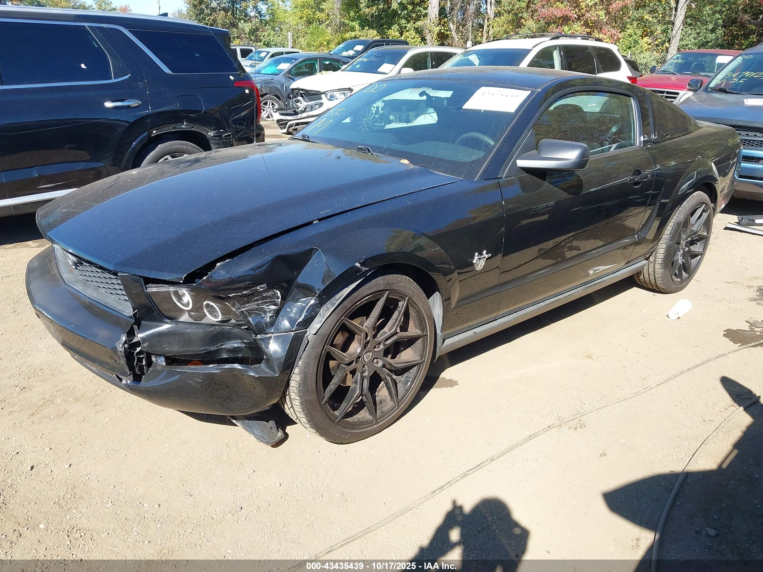 FORD MUSTANG image 2