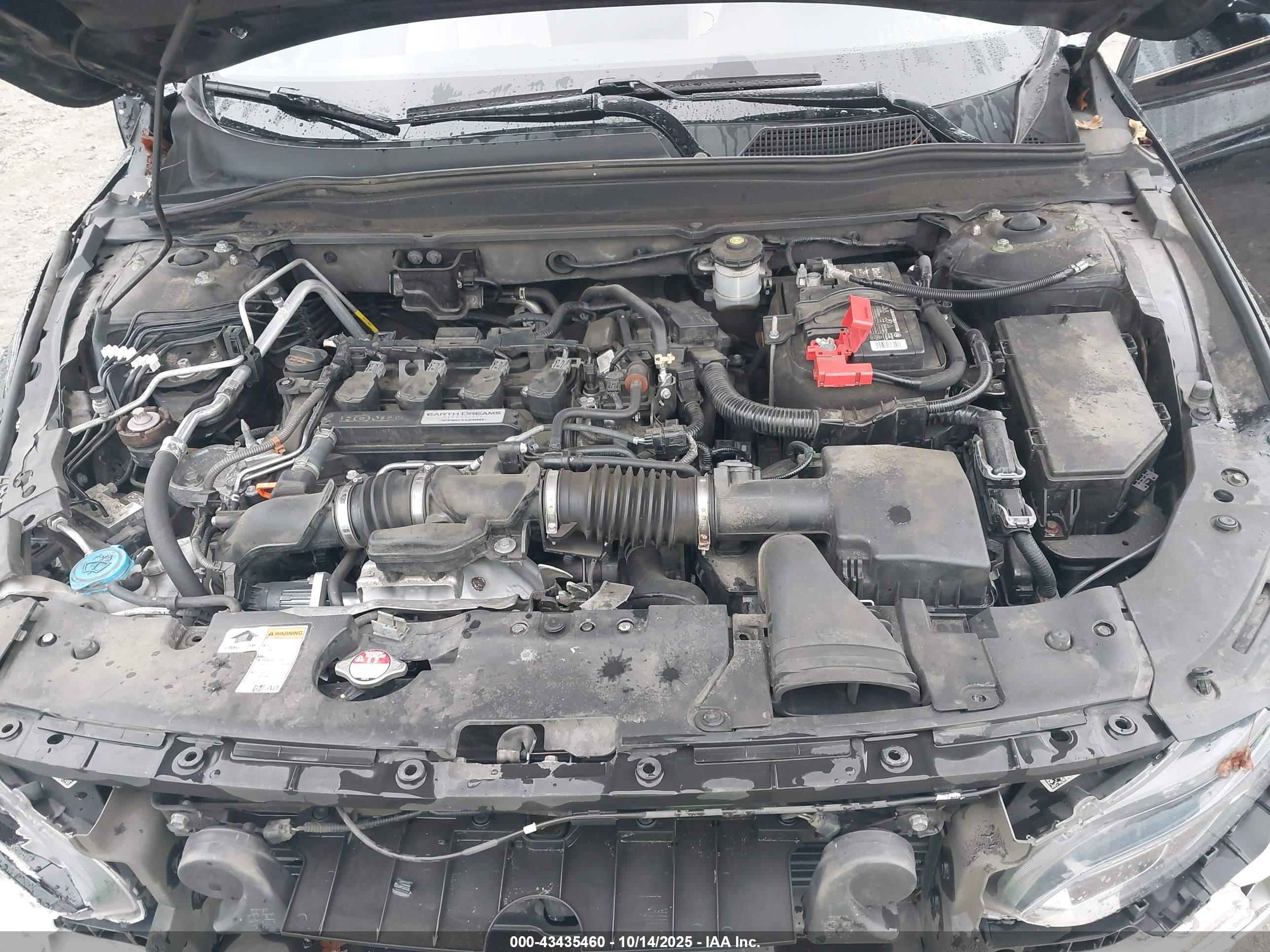 HONDA ACCORD image 10