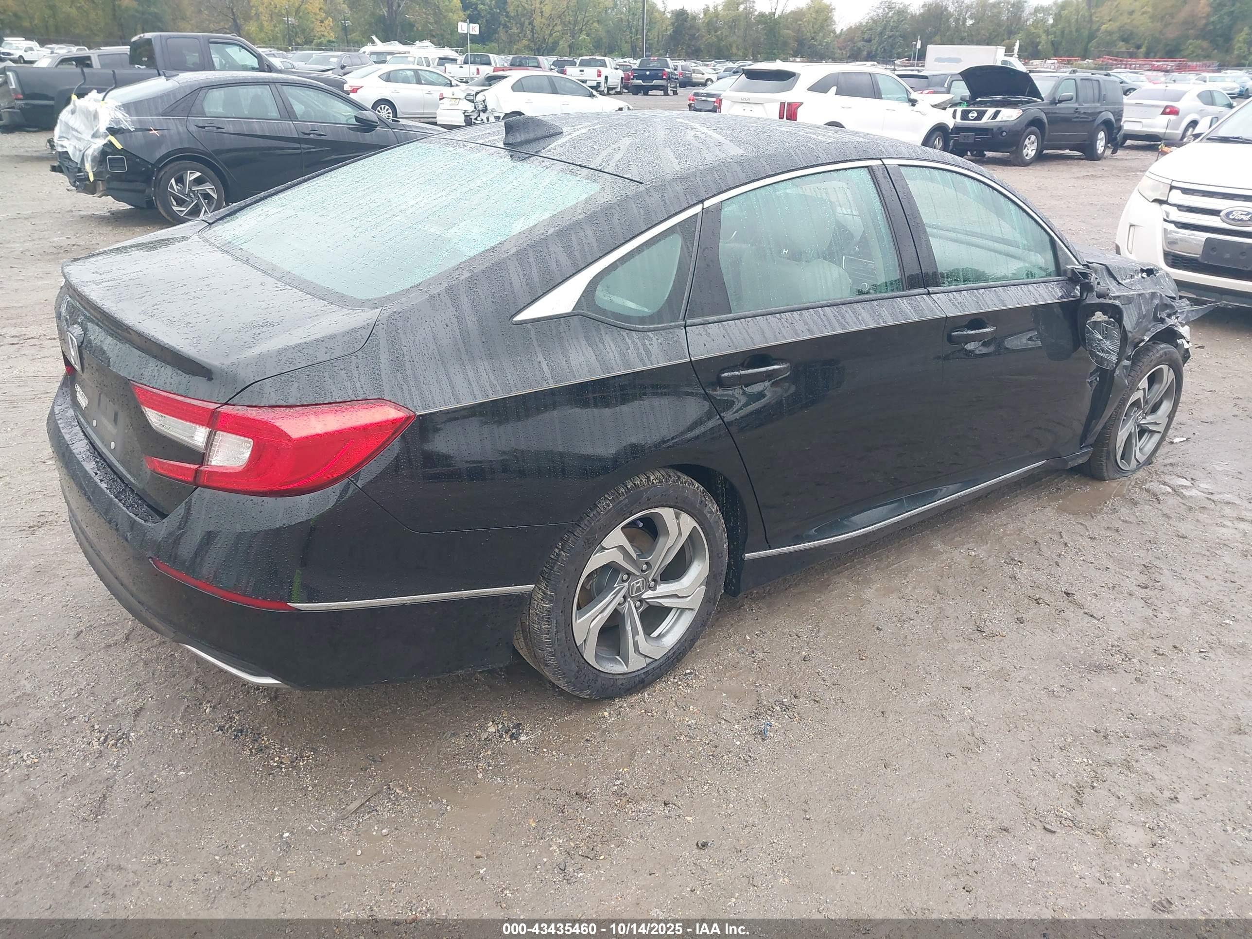 HONDA ACCORD image 4