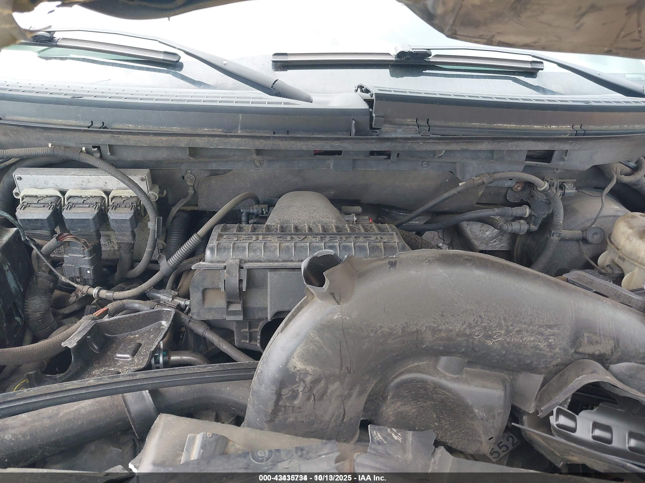 FORD F-150 image 10