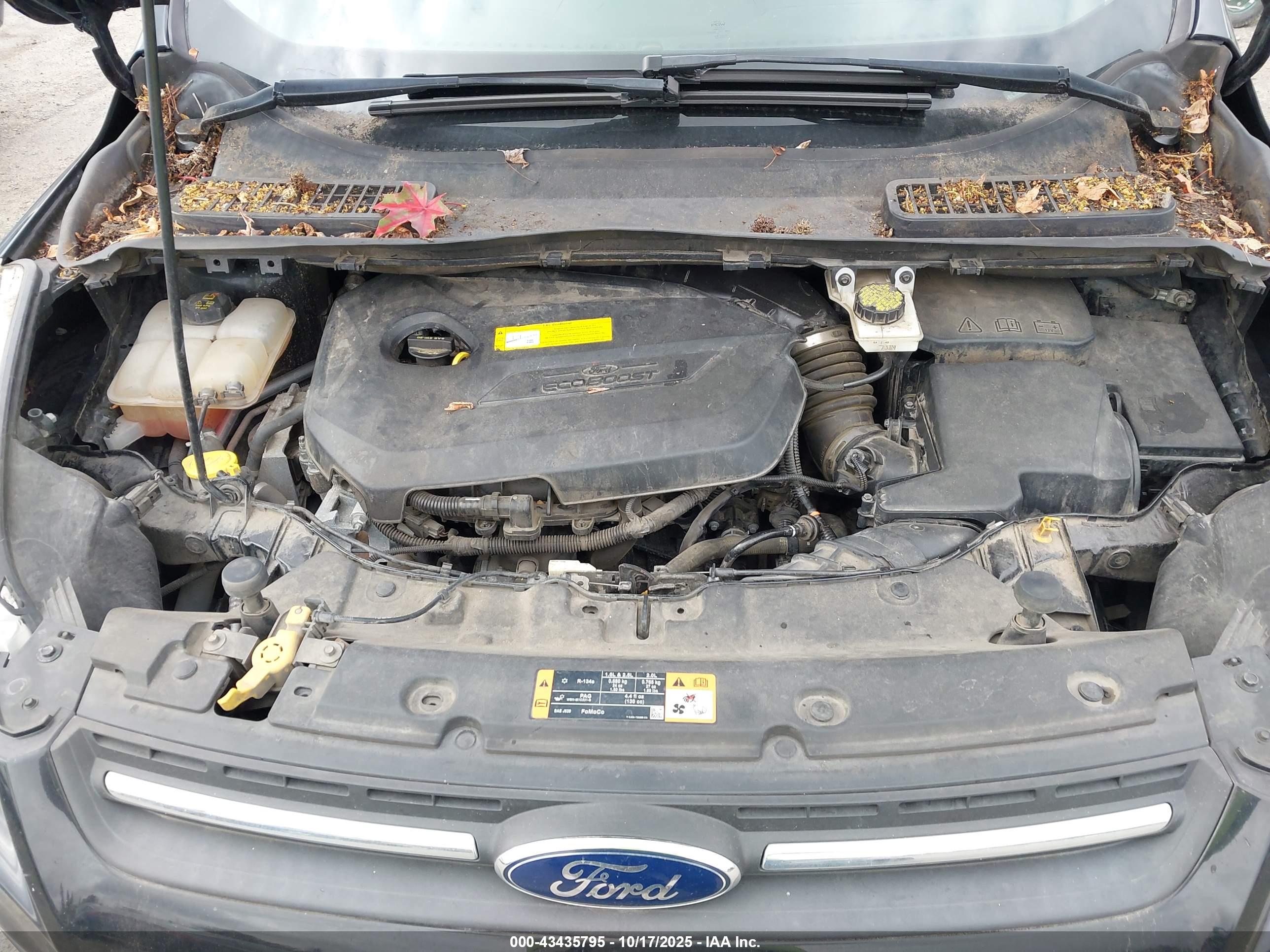FORD ESCAPE image 10