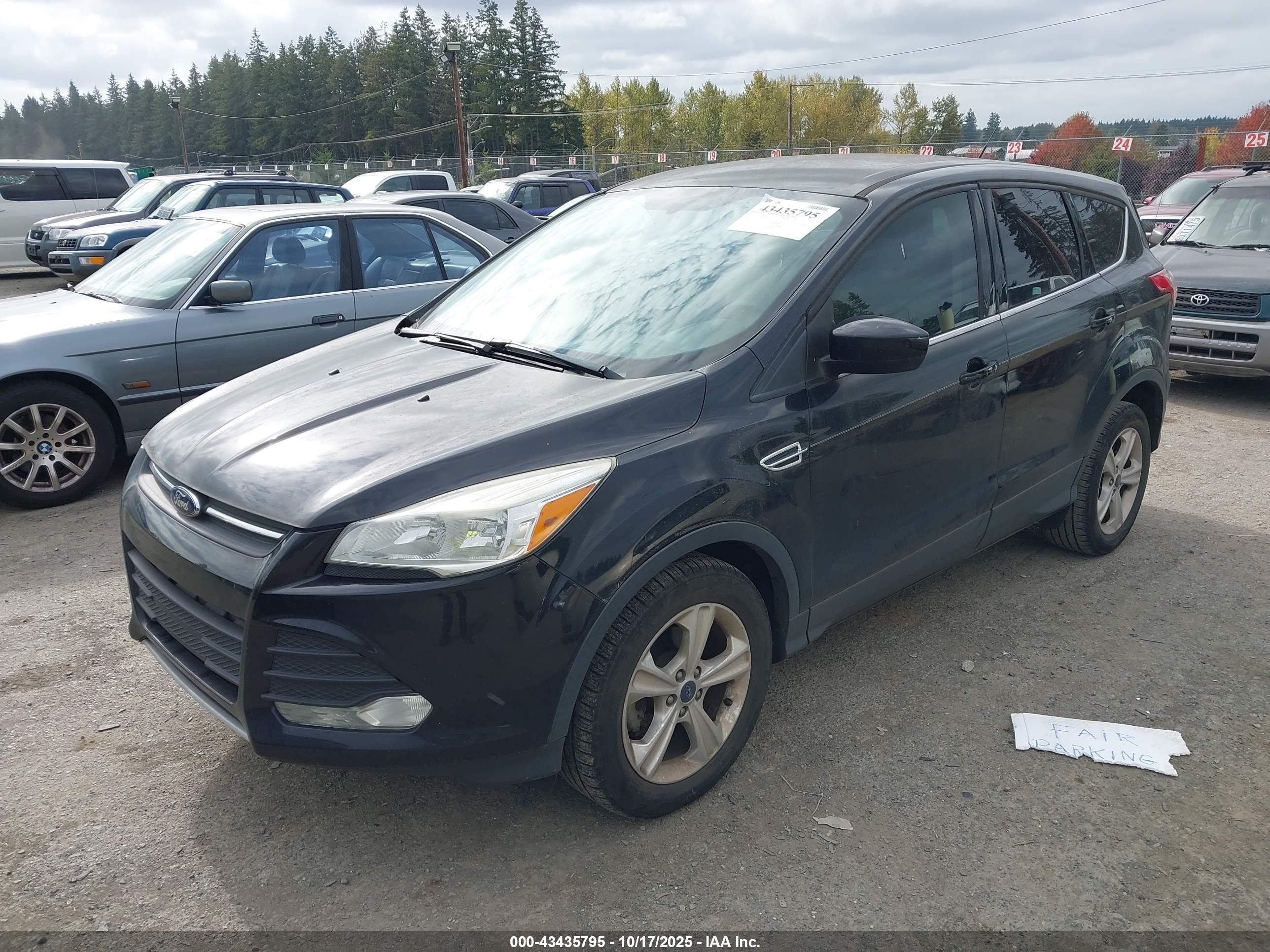 FORD ESCAPE image 2