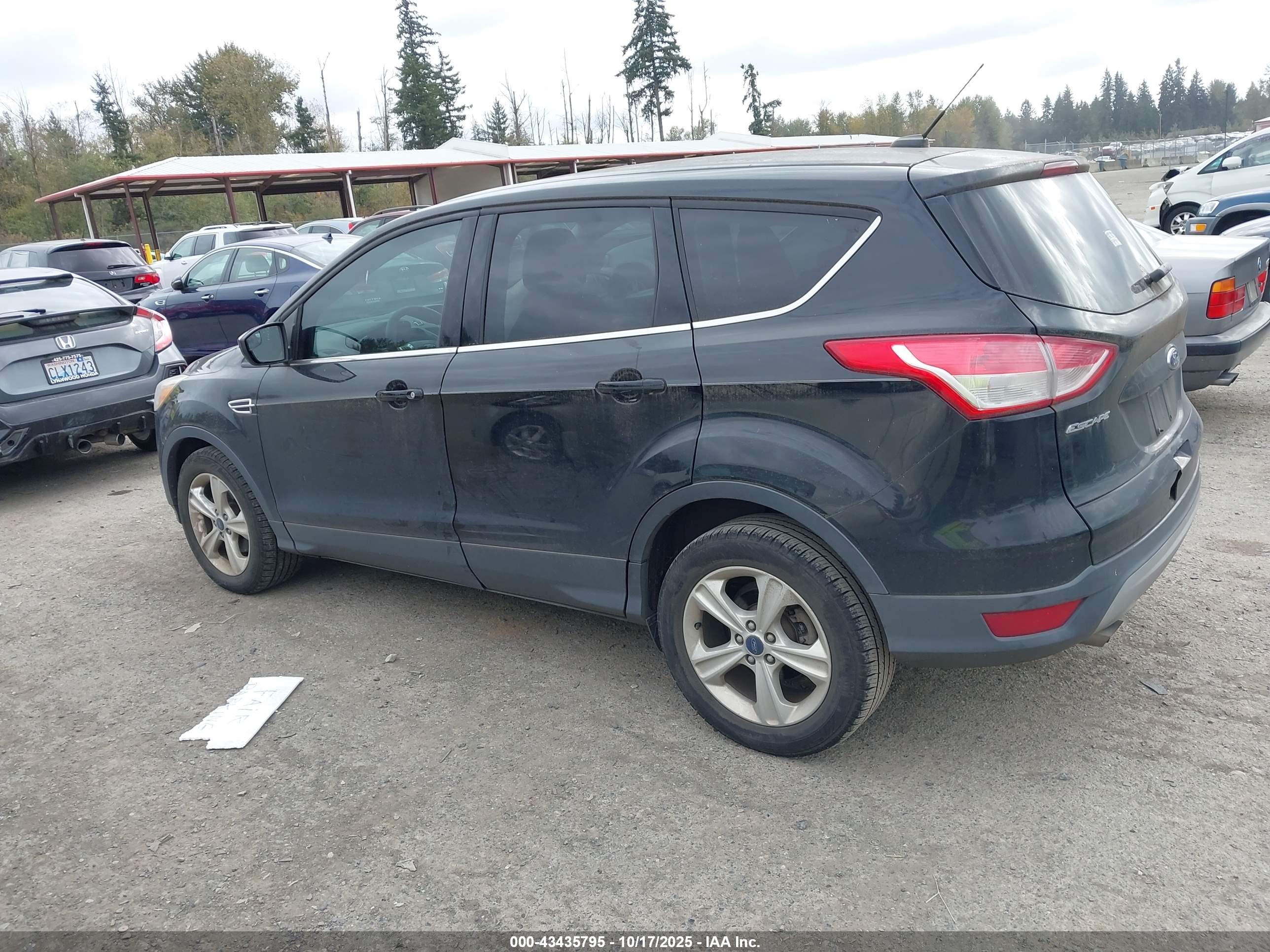 FORD ESCAPE image 3