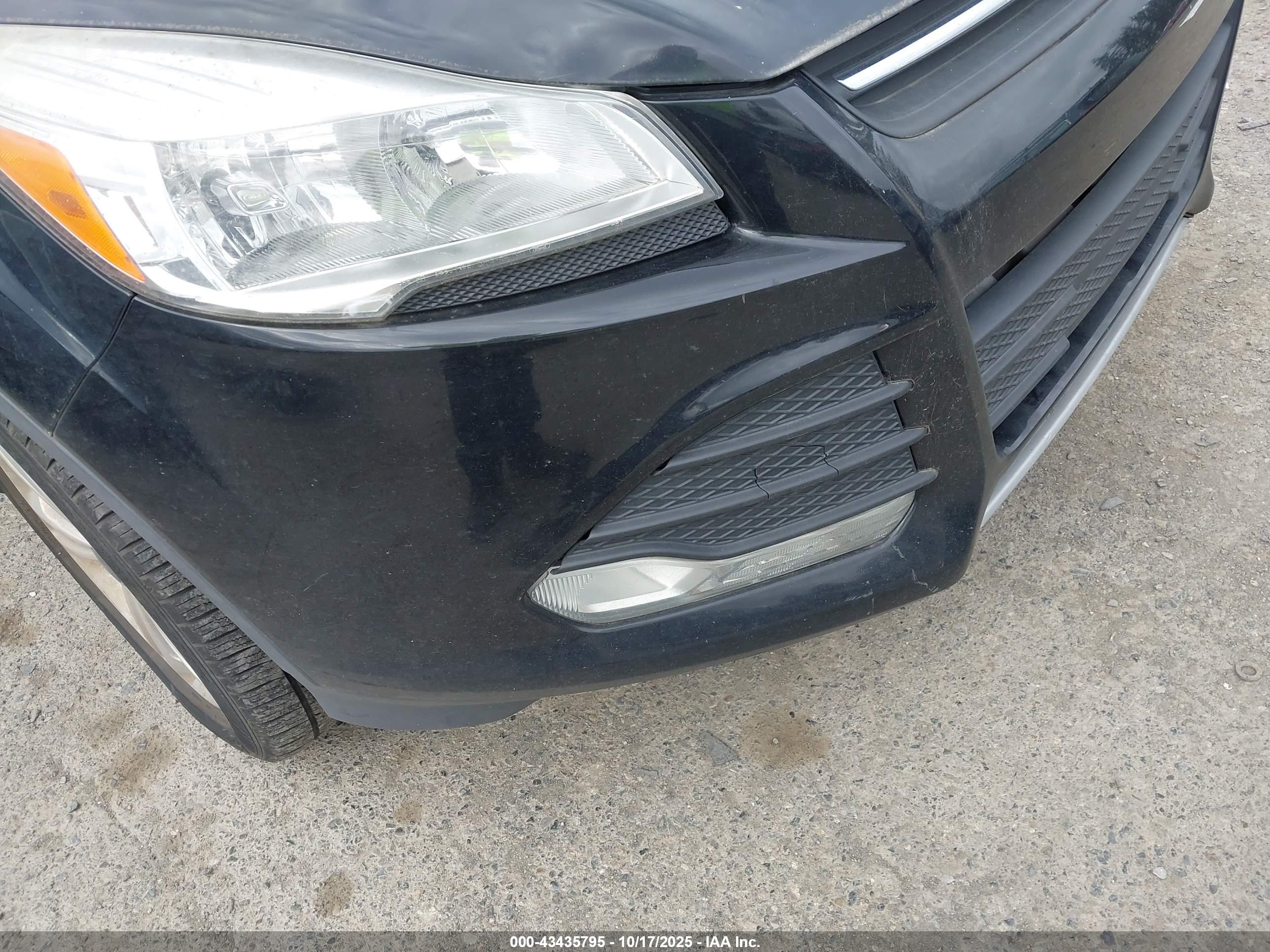 FORD ESCAPE image 6