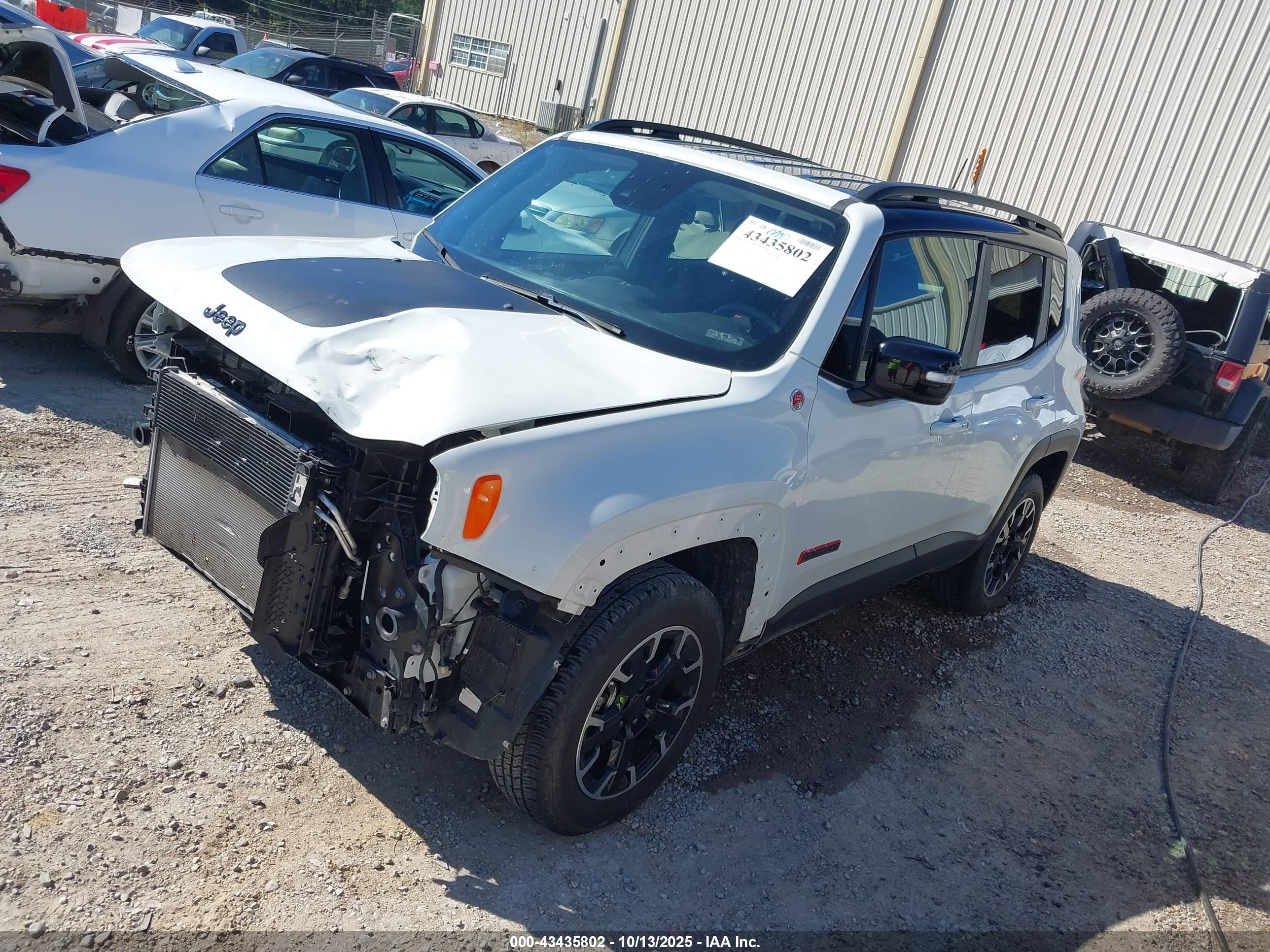 JEEP RENEGADE image 2