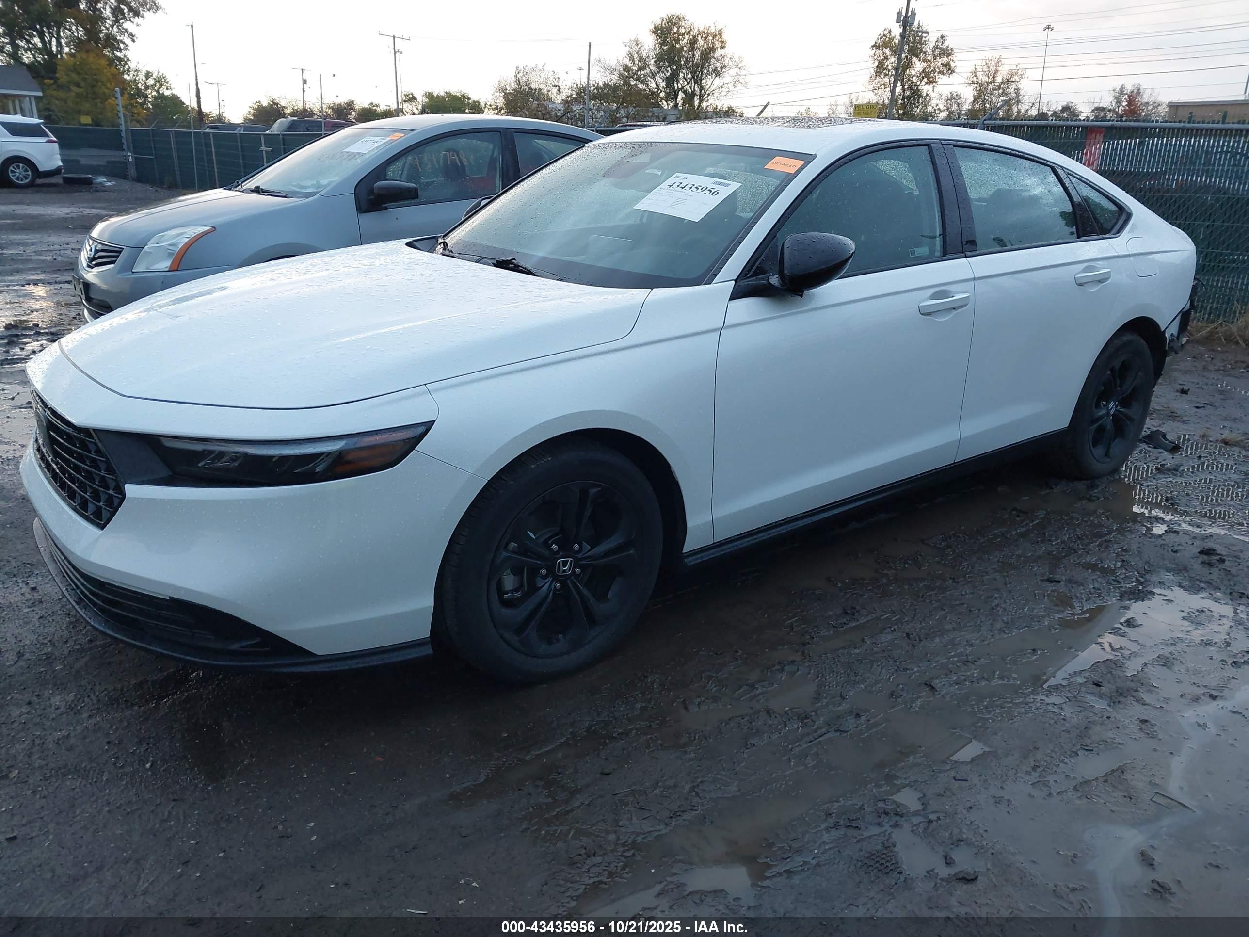 HONDA ACCORD image 2