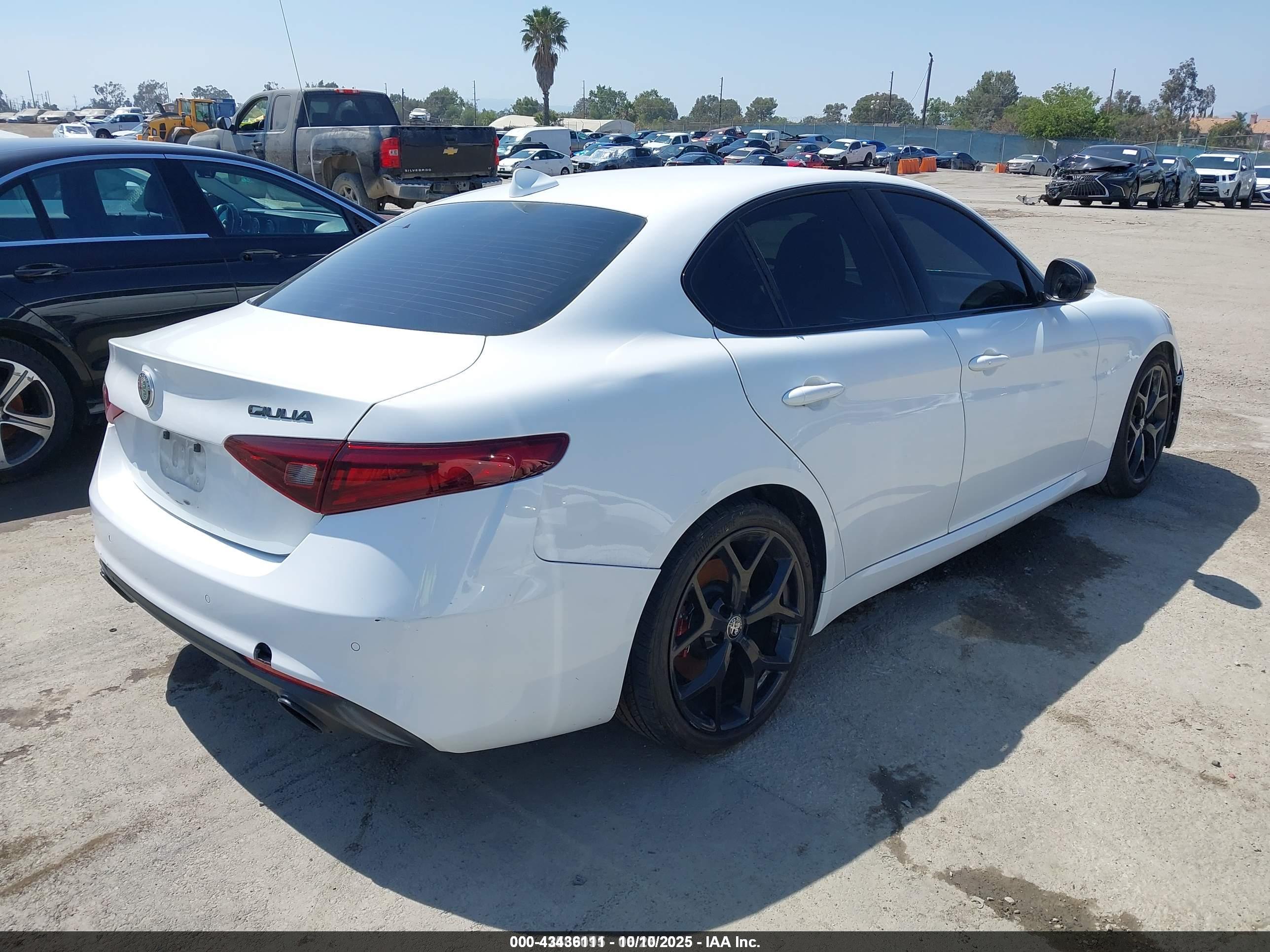 ALFA ROMEO image 4