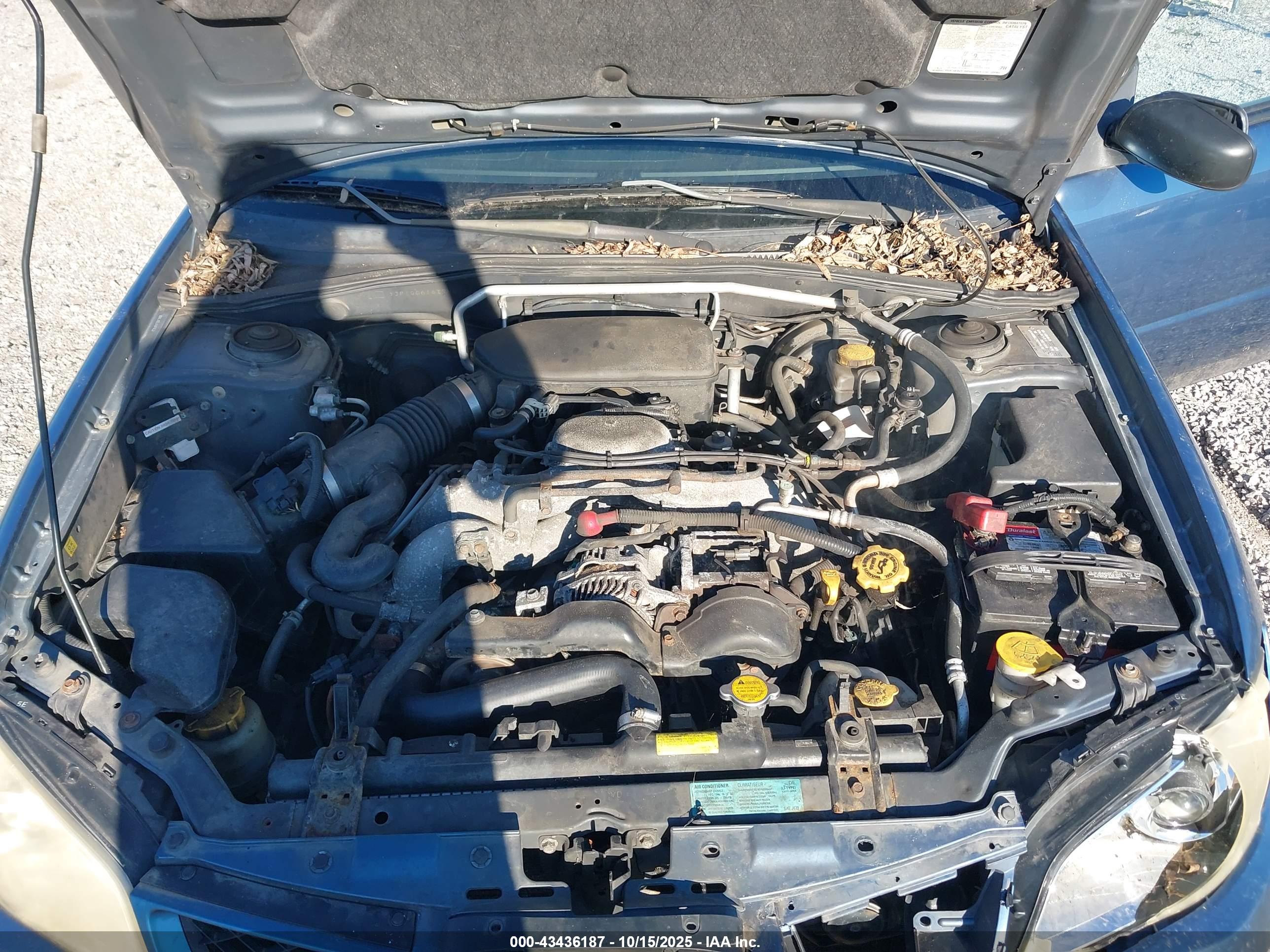 SUBARU IMPREZA image 10