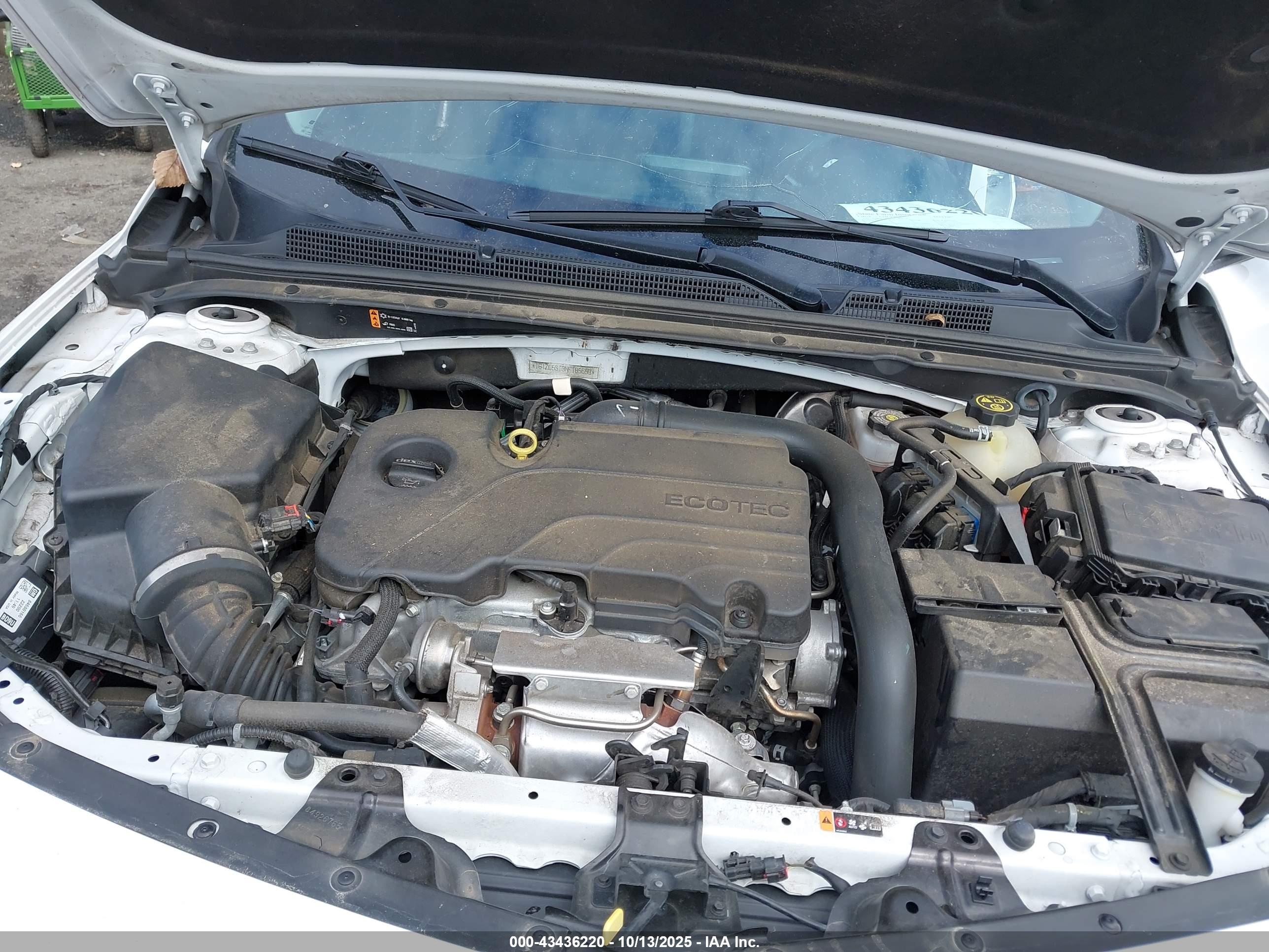 CHEVROLET MALIBU image 10