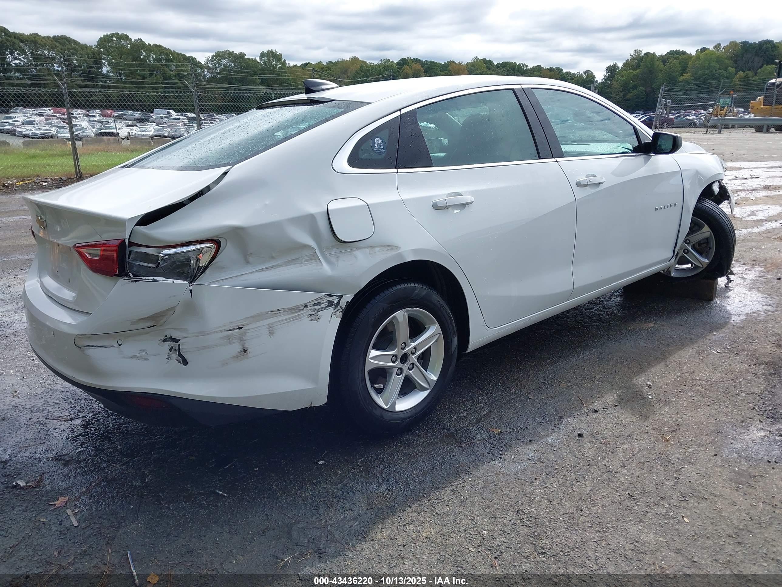 CHEVROLET MALIBU image 4