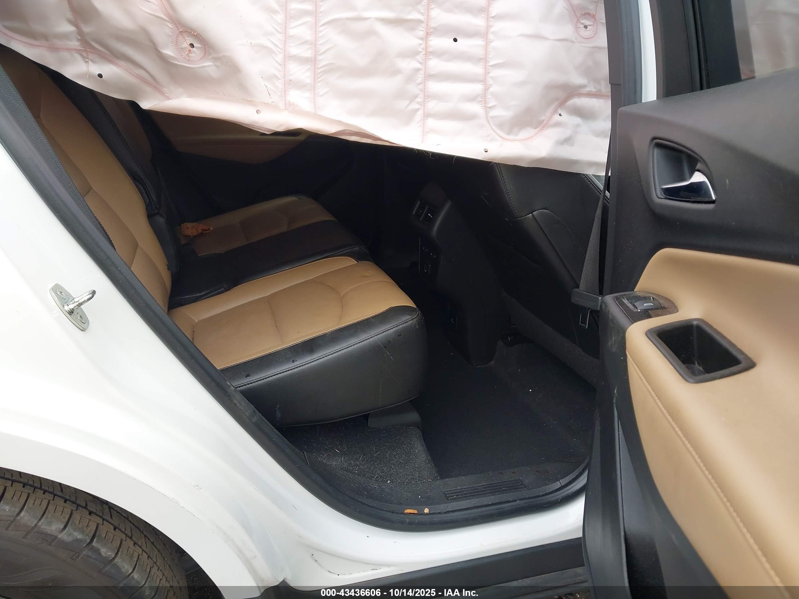 CHEVROLET EQUINOX image 8