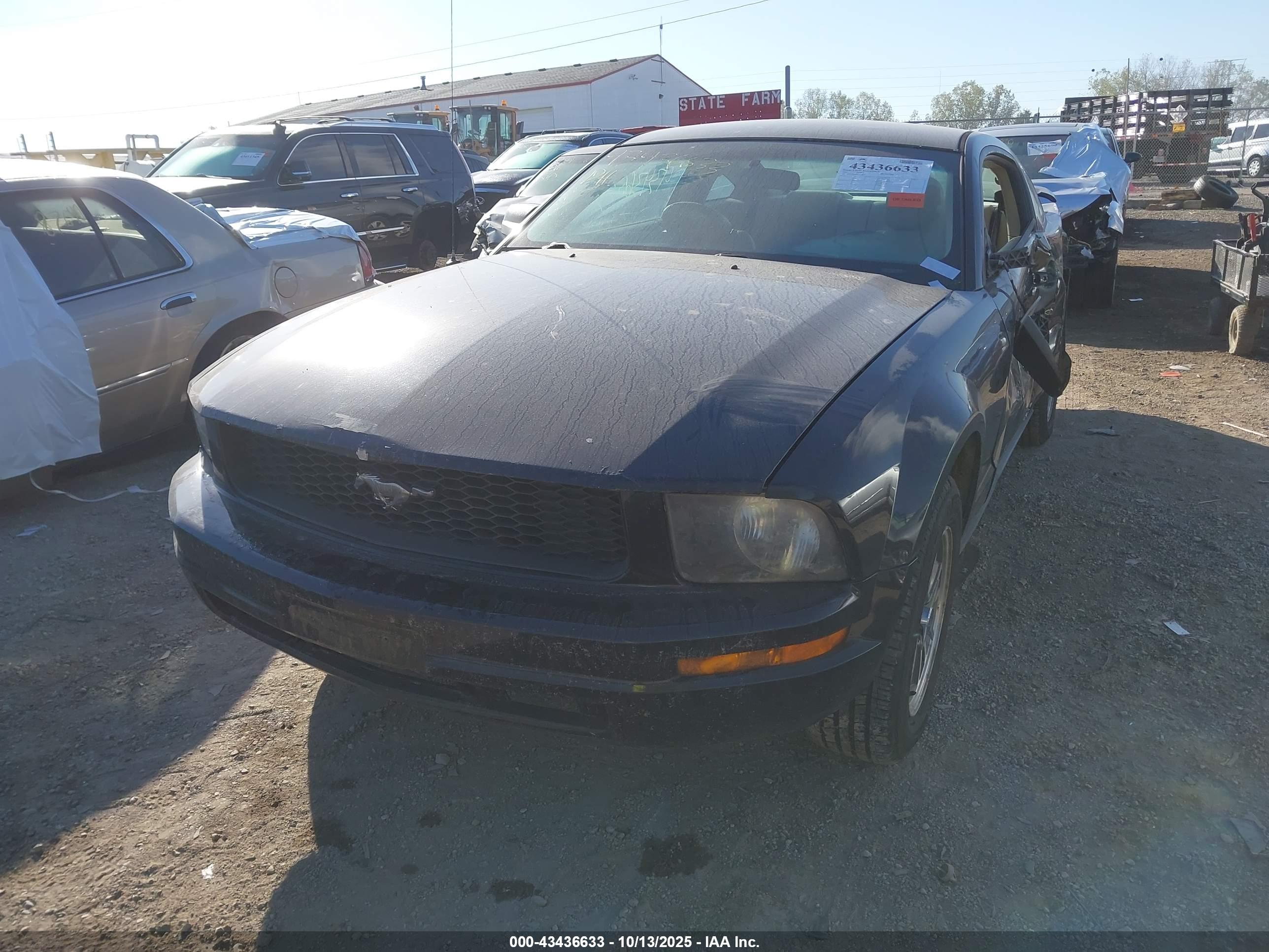 FORD MUSTANG image 2