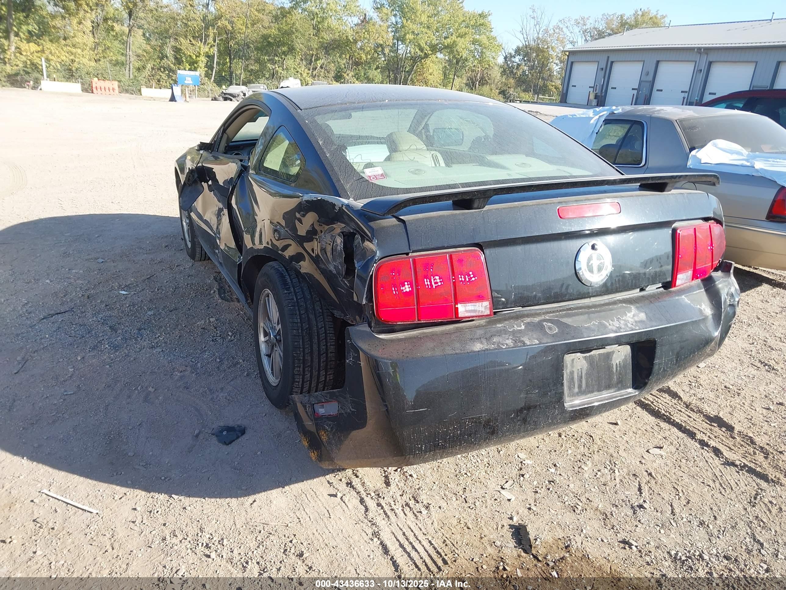 FORD MUSTANG image 3