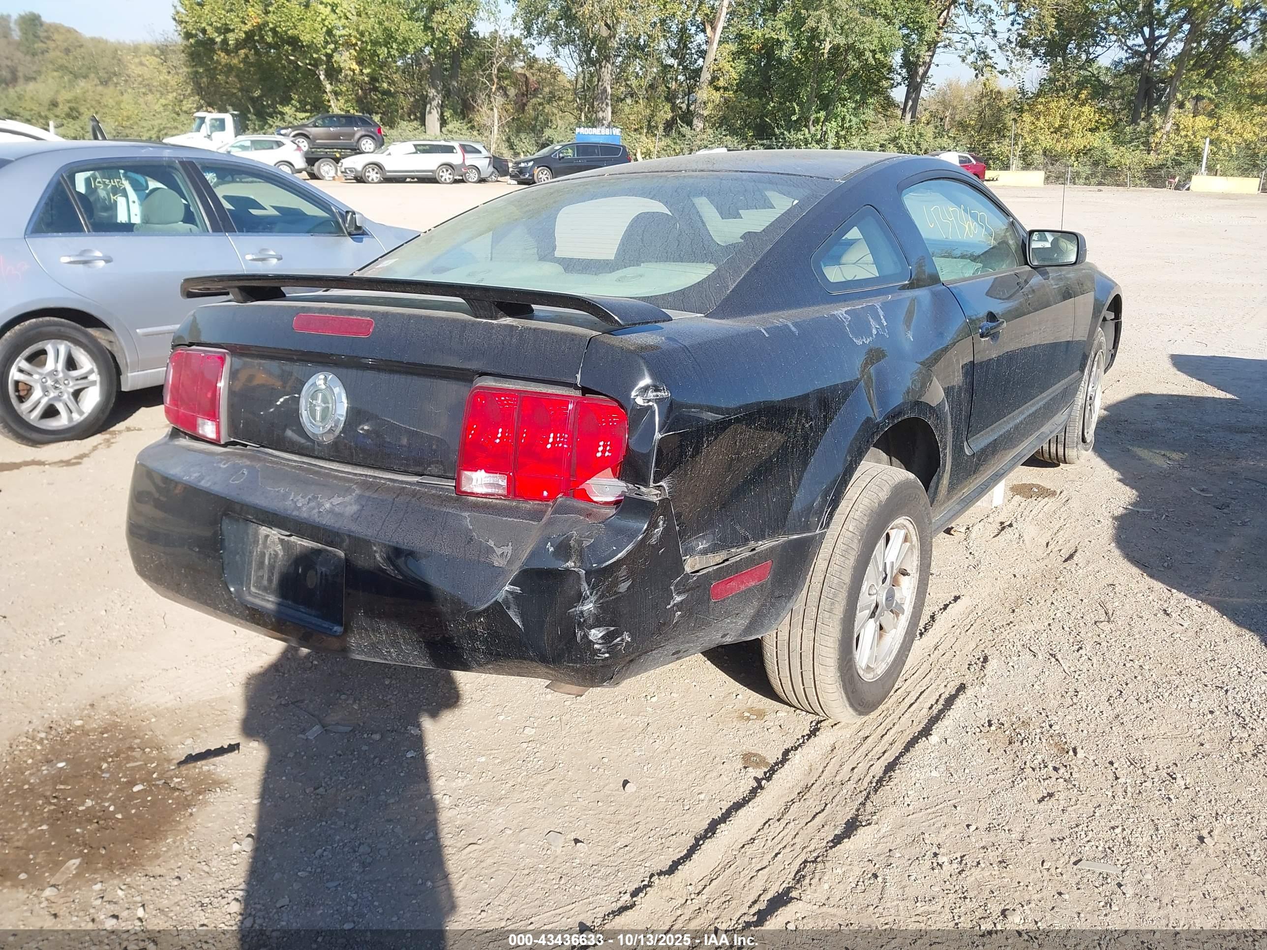 FORD MUSTANG image 4