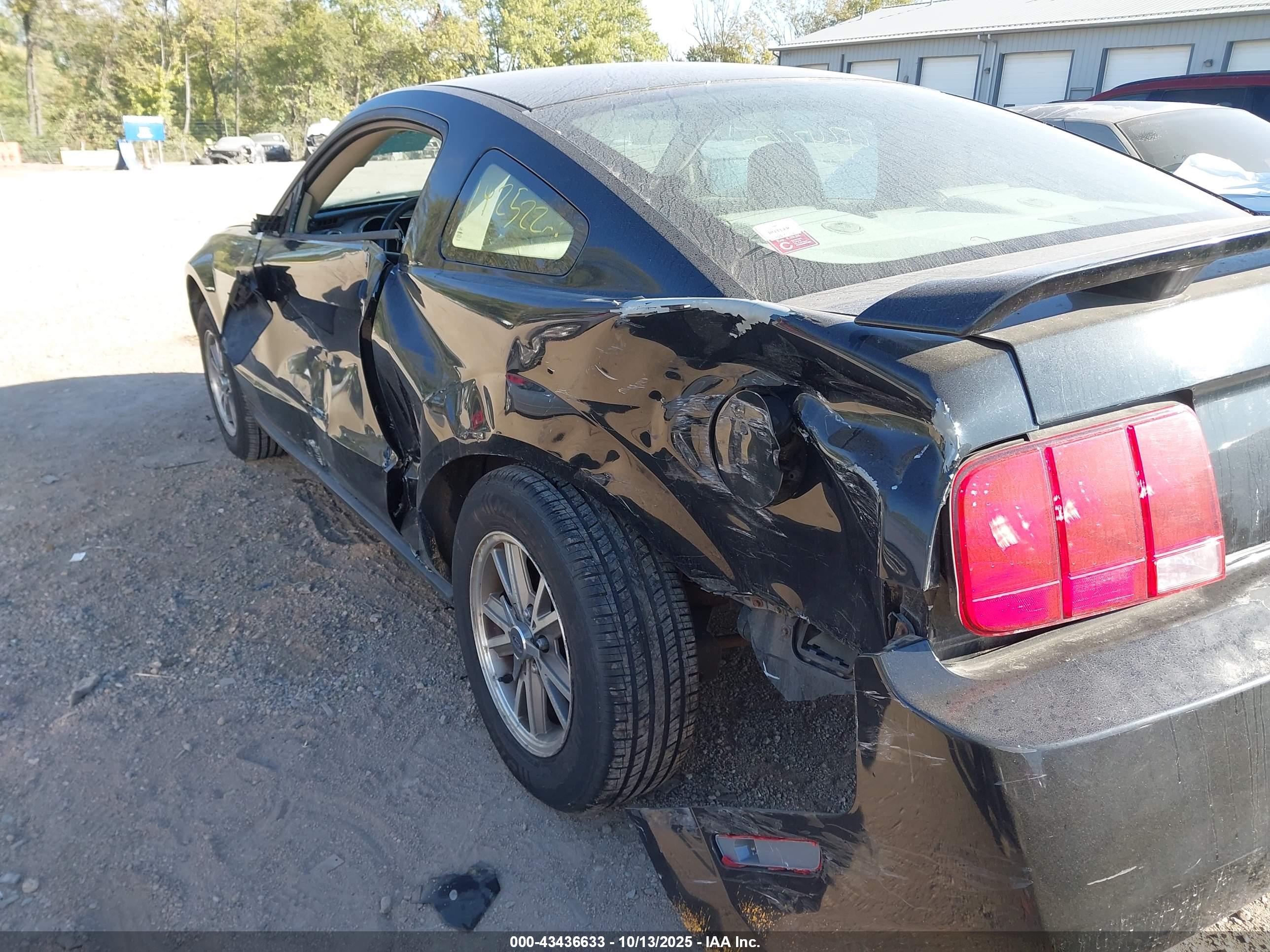 FORD MUSTANG image 6