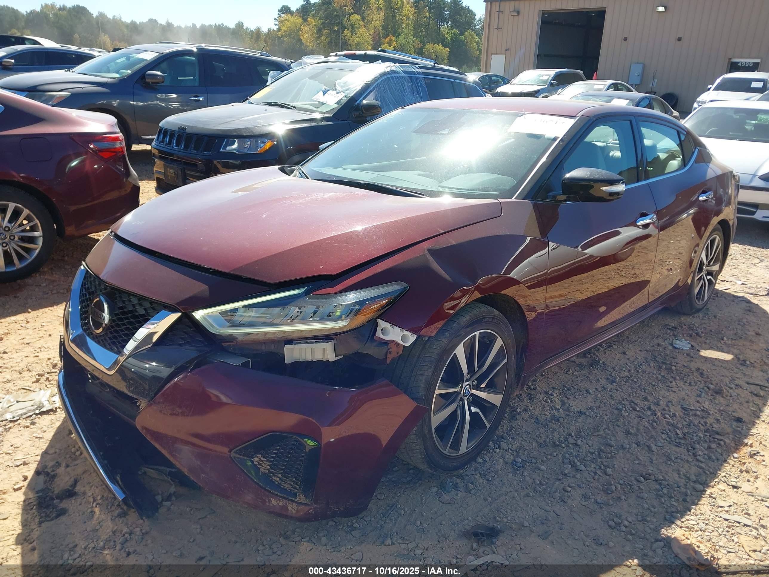 NISSAN MAXIMA image 2