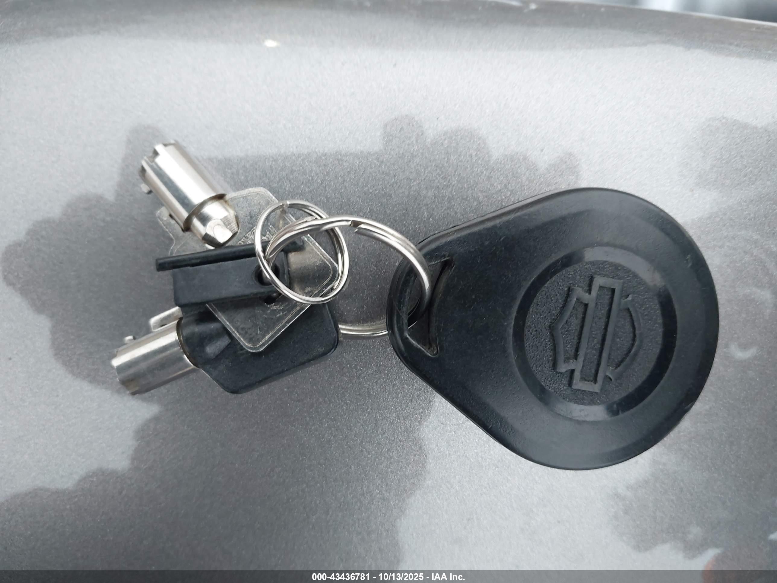 HARLEY-DAVIDSON FLHTCUTG image 11