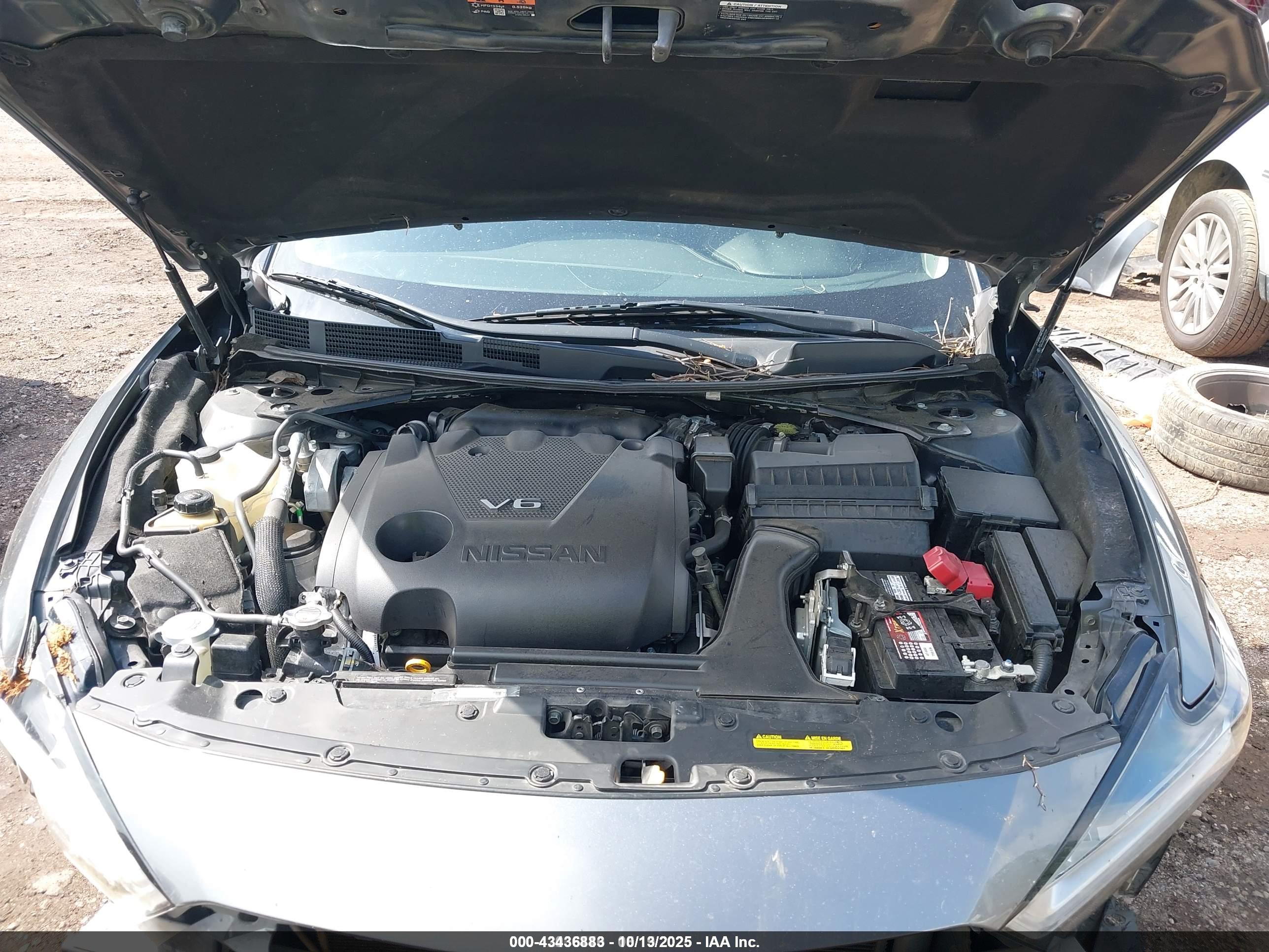 NISSAN MAXIMA image 10