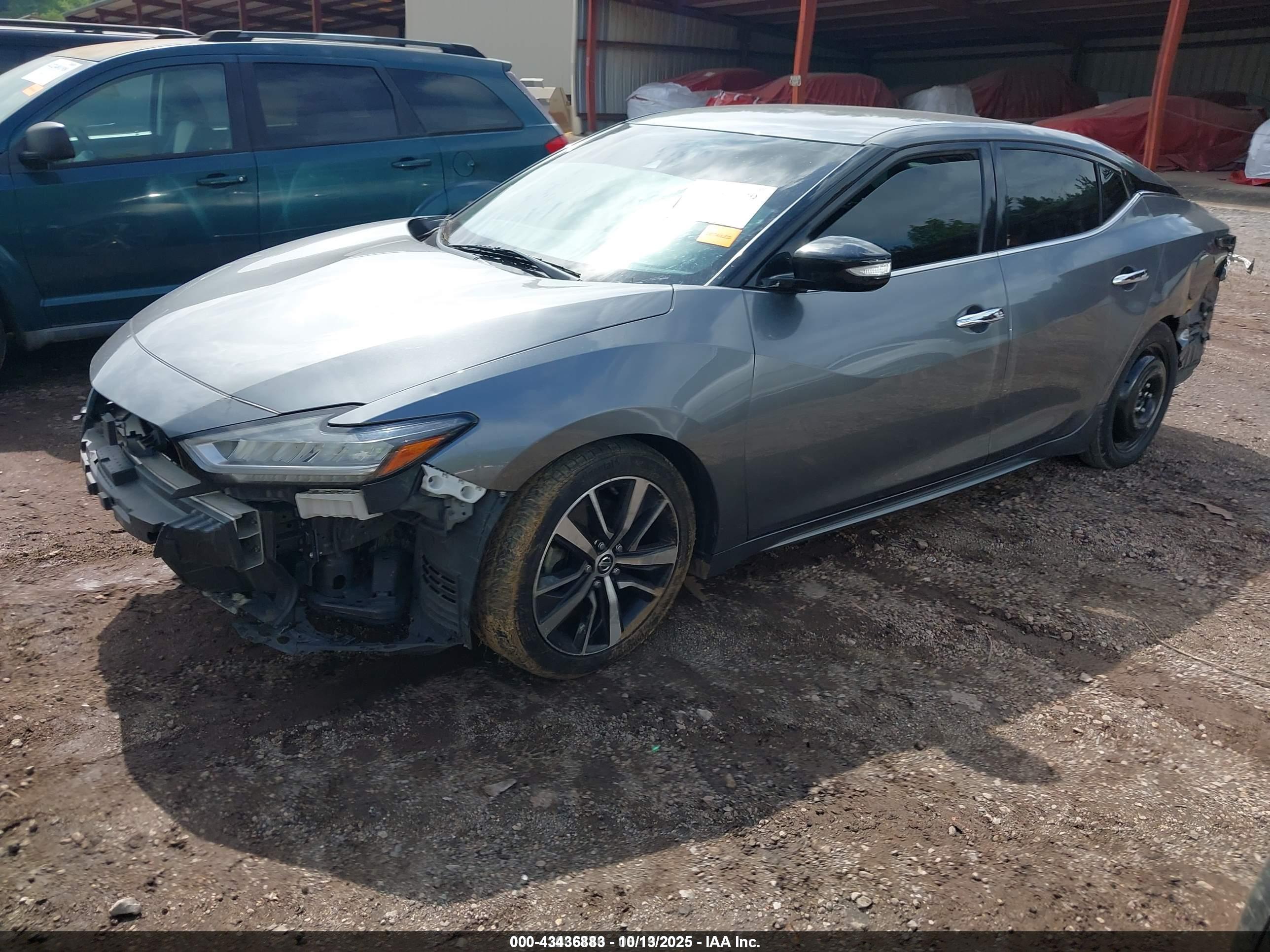 NISSAN MAXIMA image 2