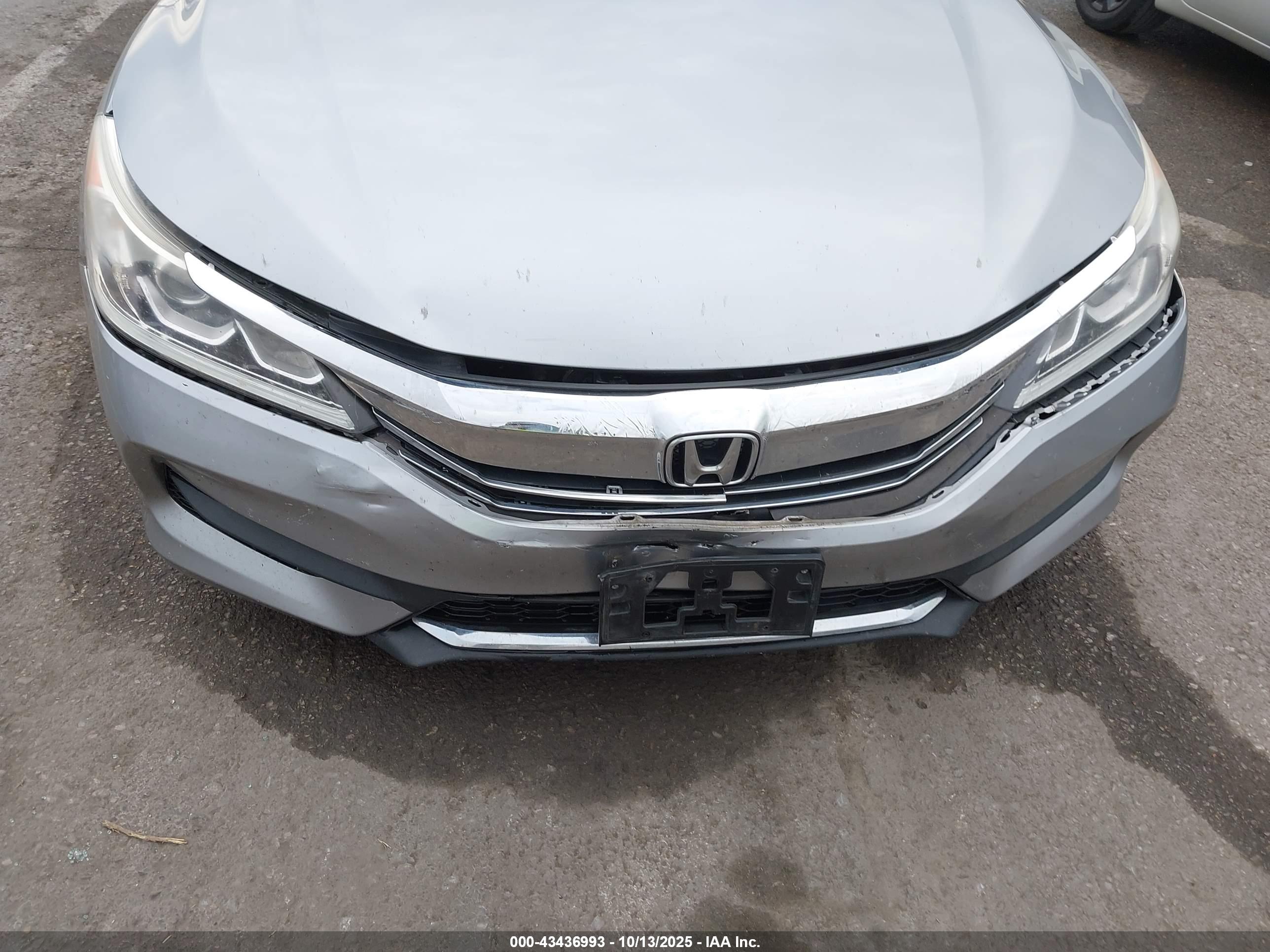 HONDA ACCORD image 6