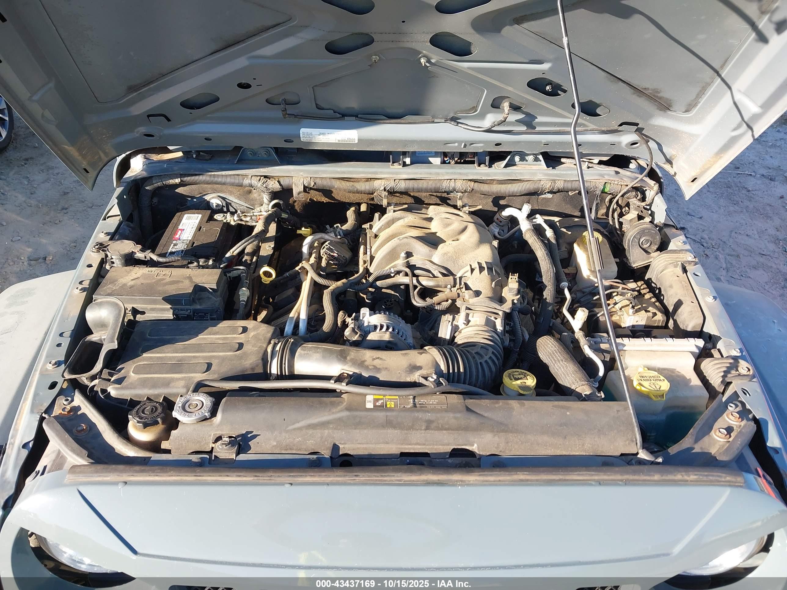 JEEP WRANGLER image 10