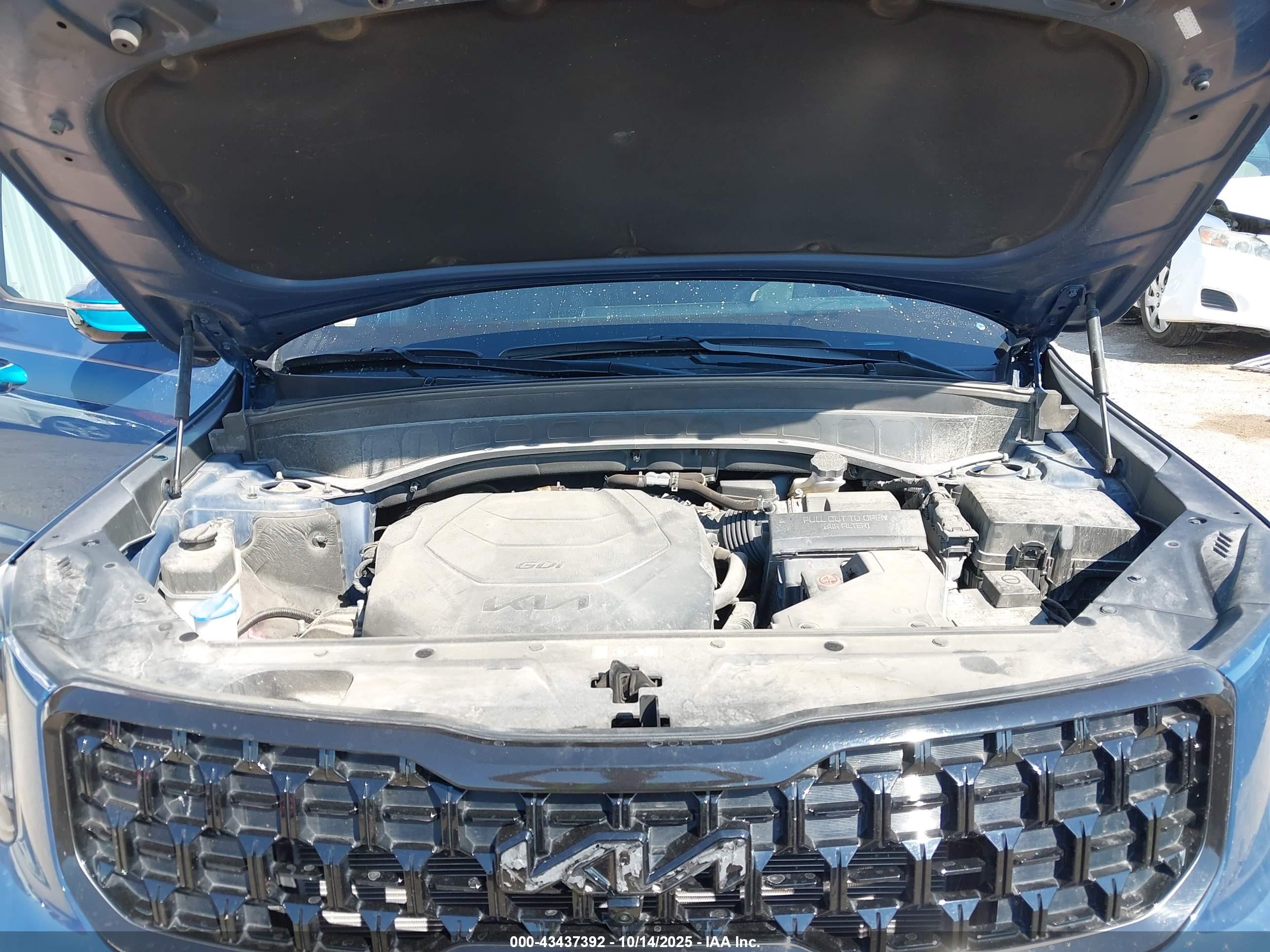 KIA TELLURIDE image 10