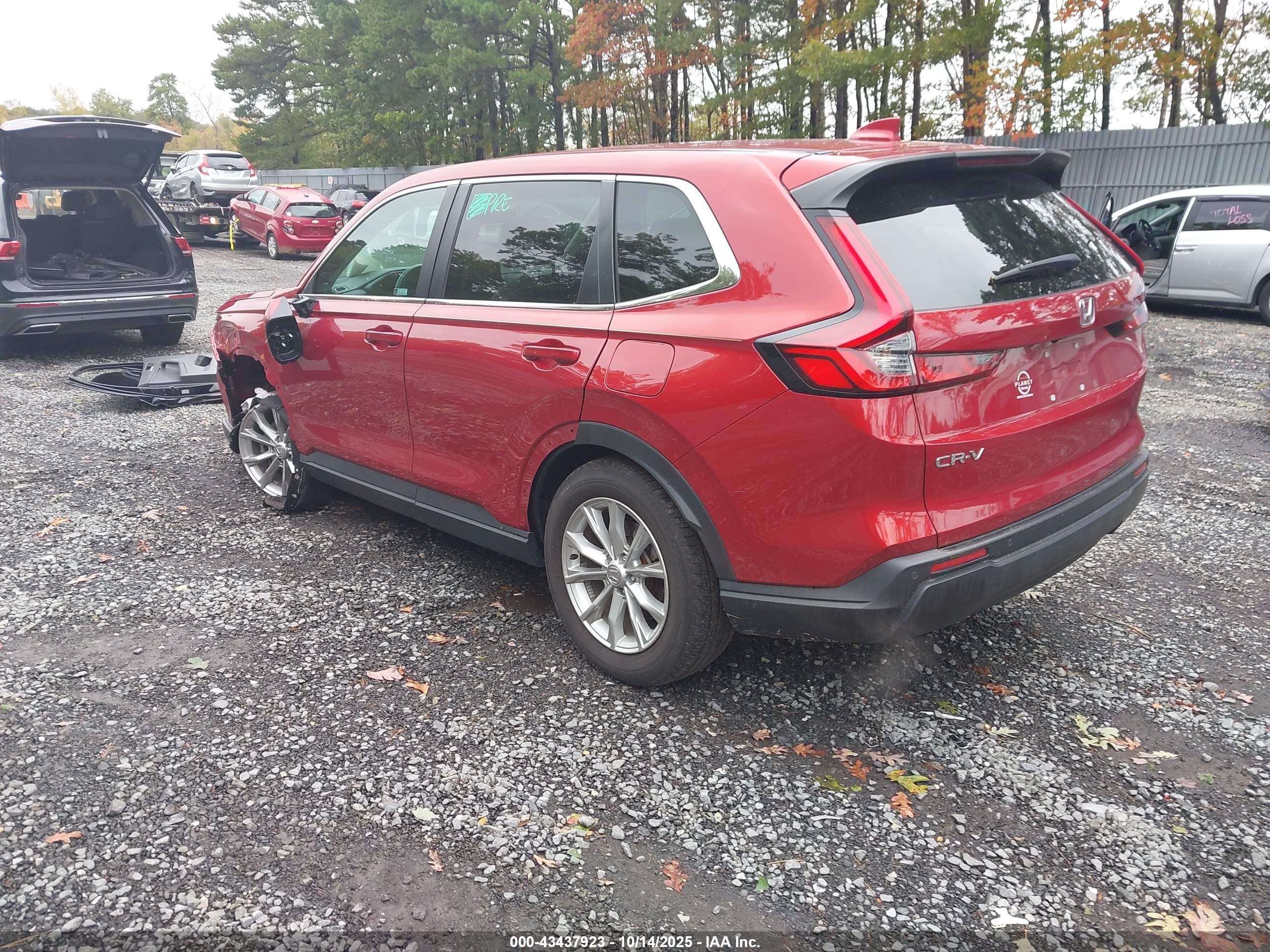 HONDA CR-V image 3