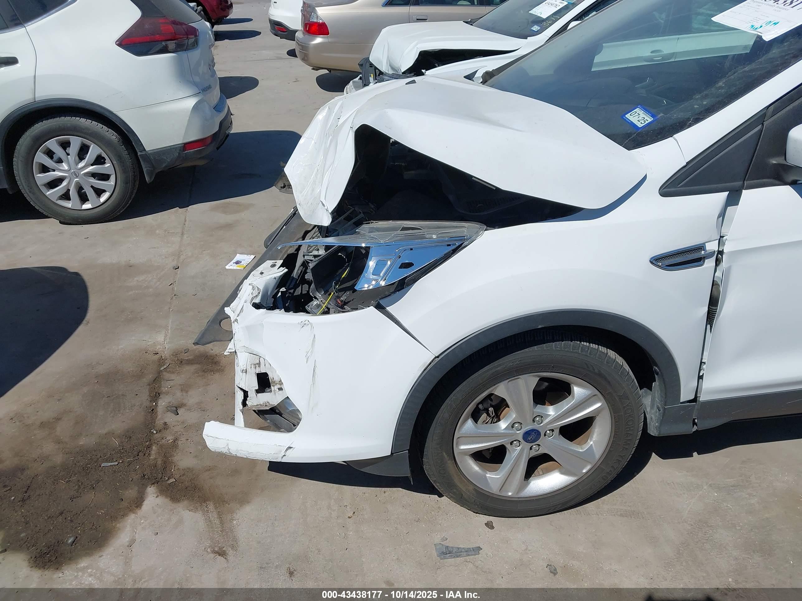 FORD ESCAPE image 6