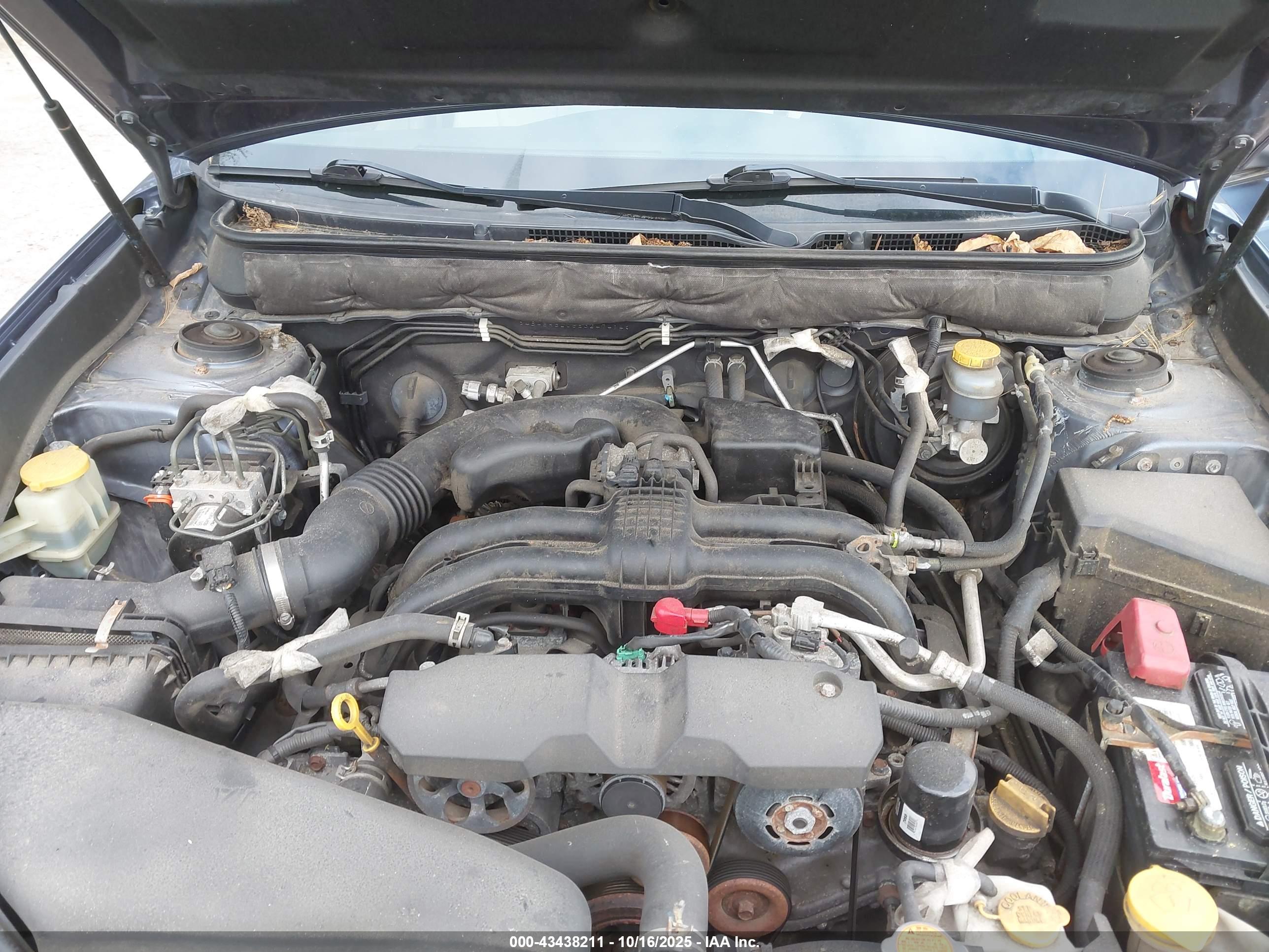 SUBARU OUTBACK image 10
