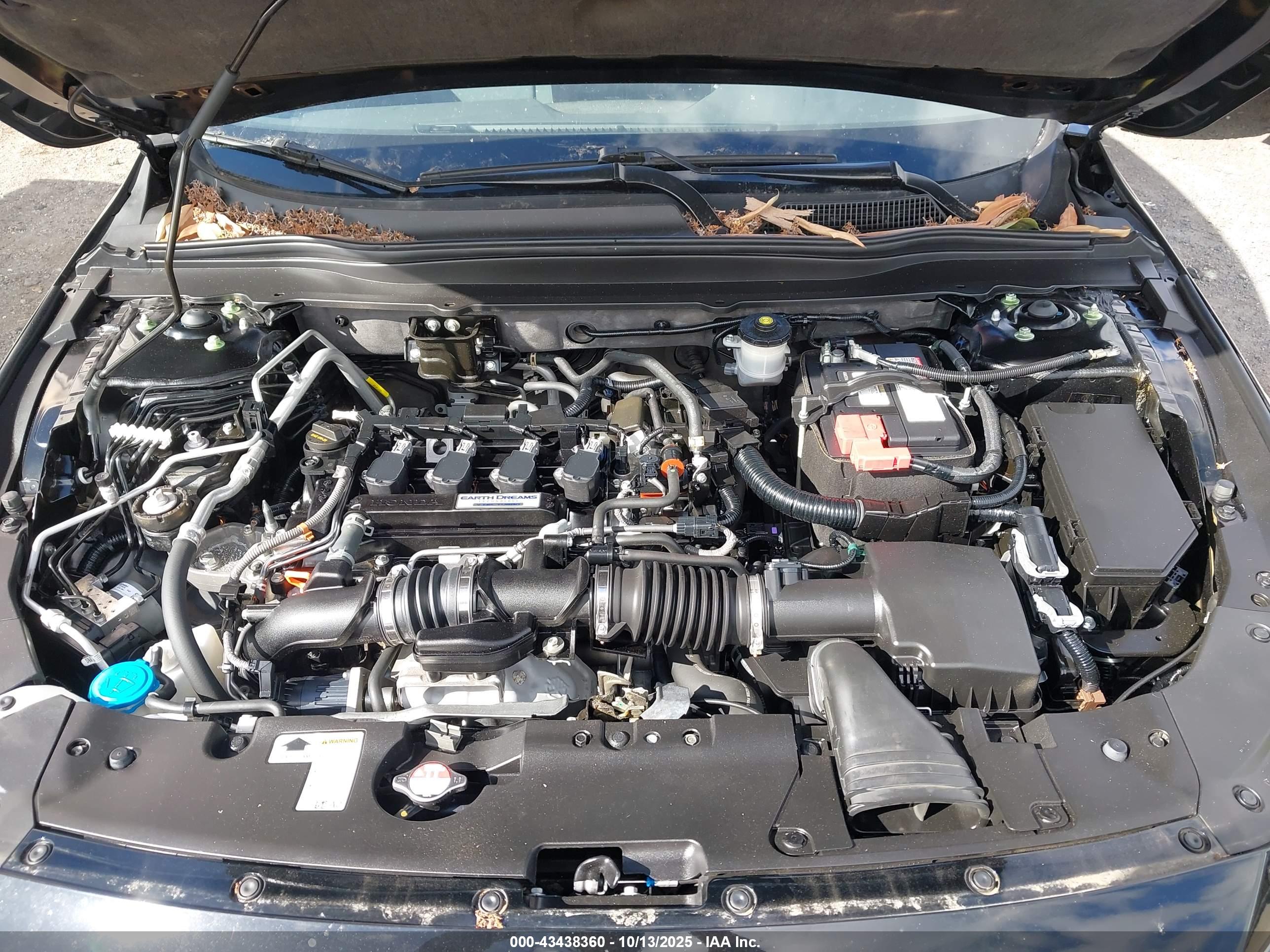HONDA ACCORD image 10