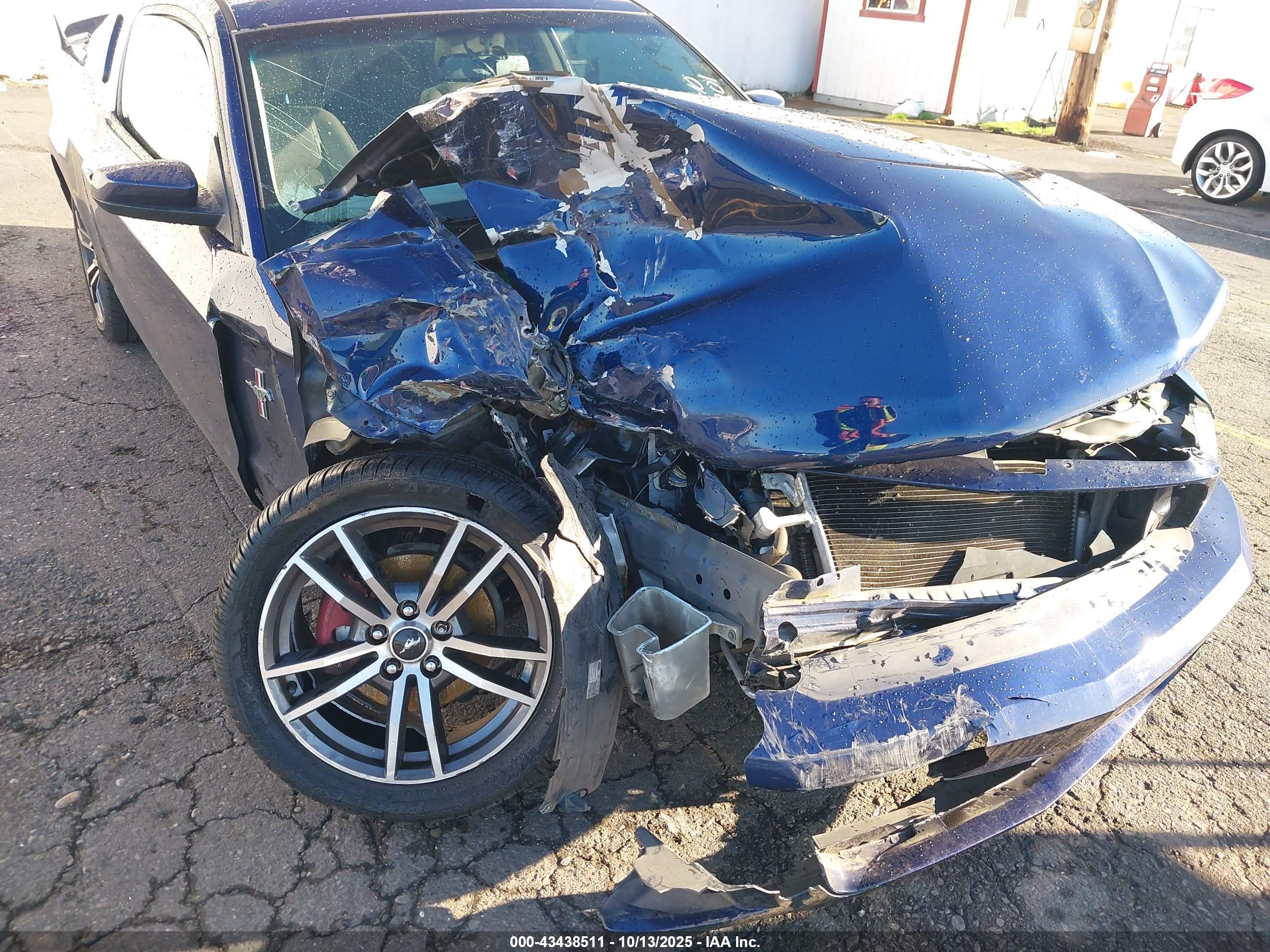 FORD MUSTANG image 6