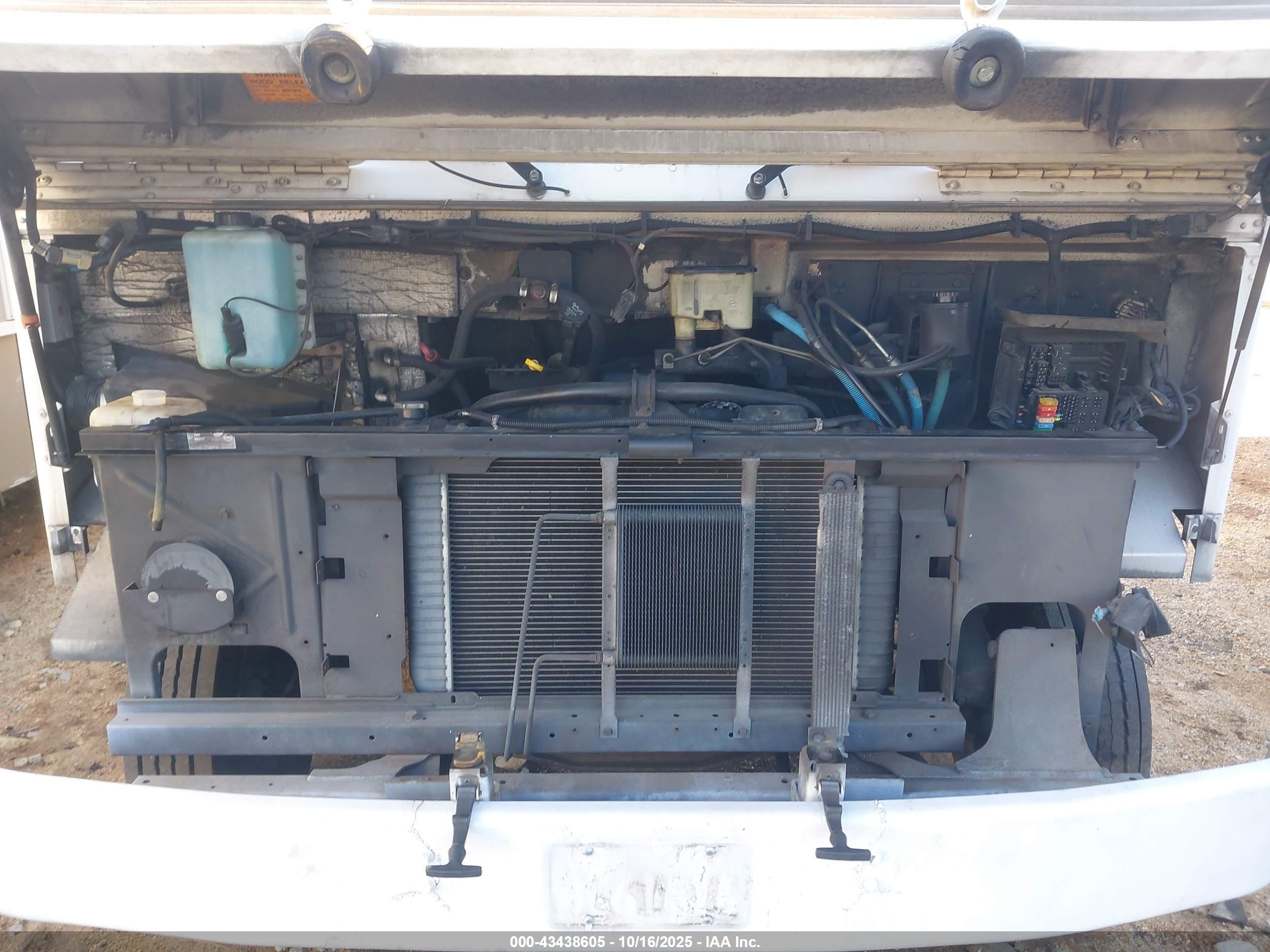 WORKHORSE CUSTOM image 10