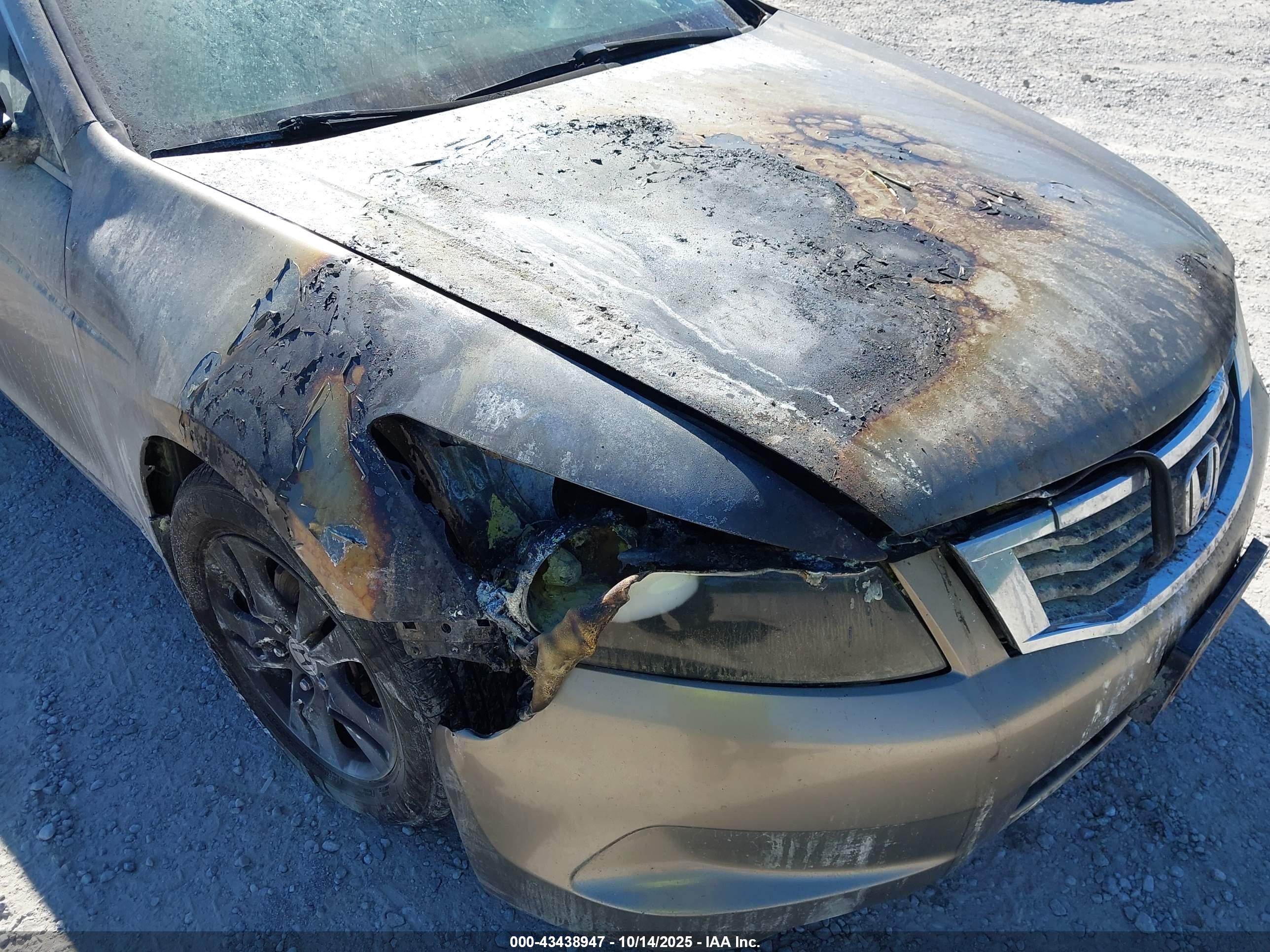 HONDA ACCORD image 6