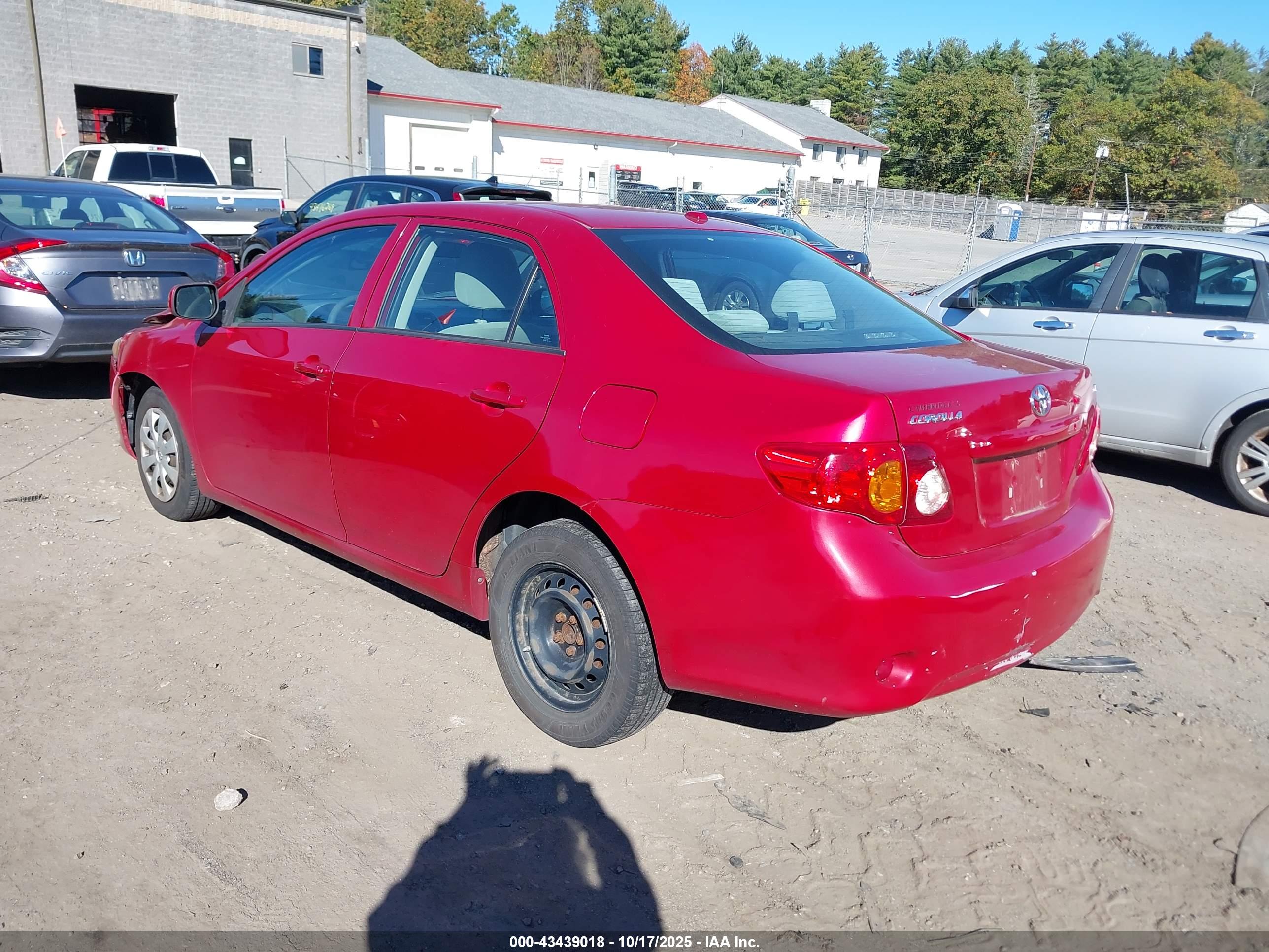 TOYOTA COROLLA image 3