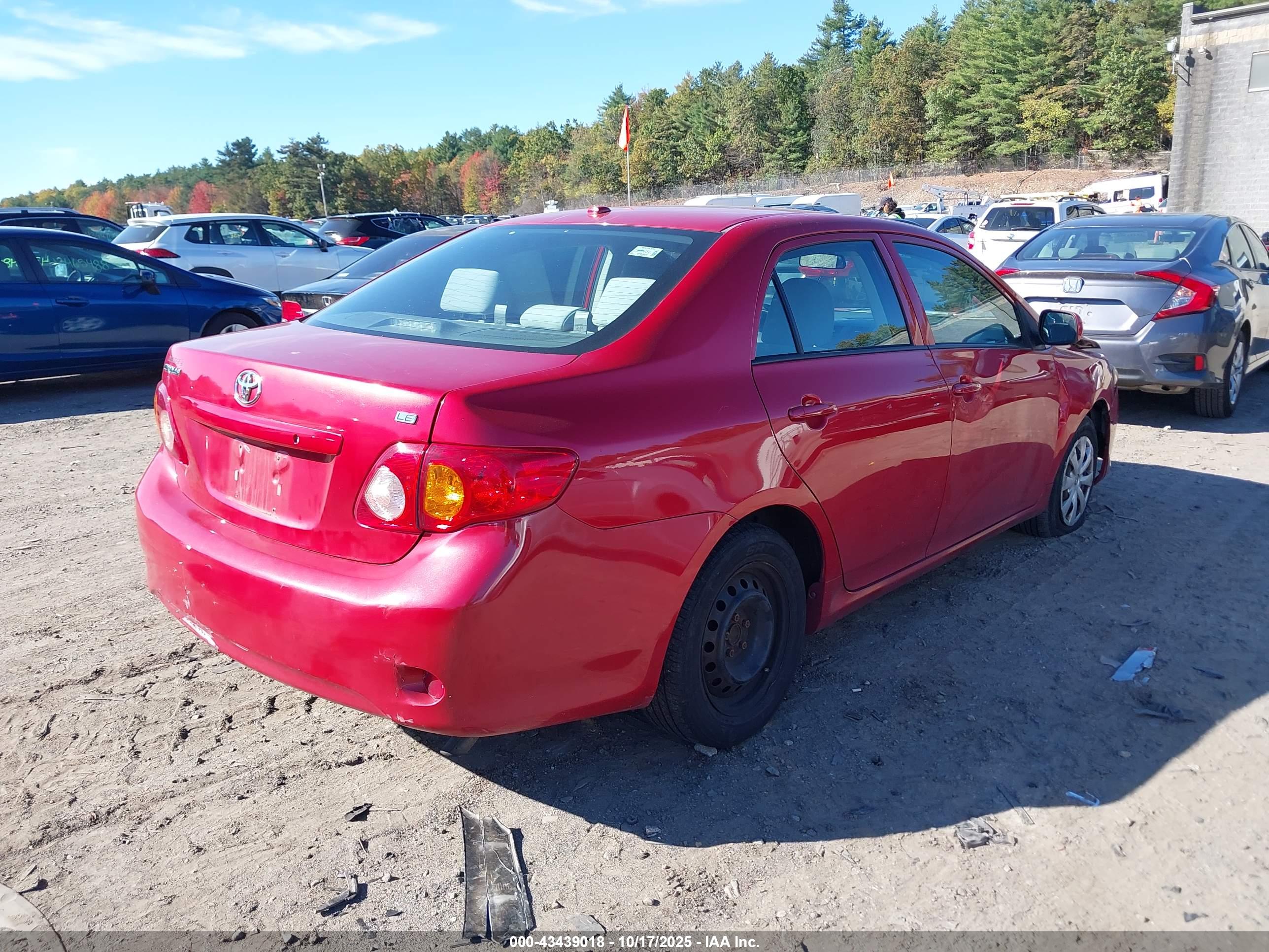 TOYOTA COROLLA image 4