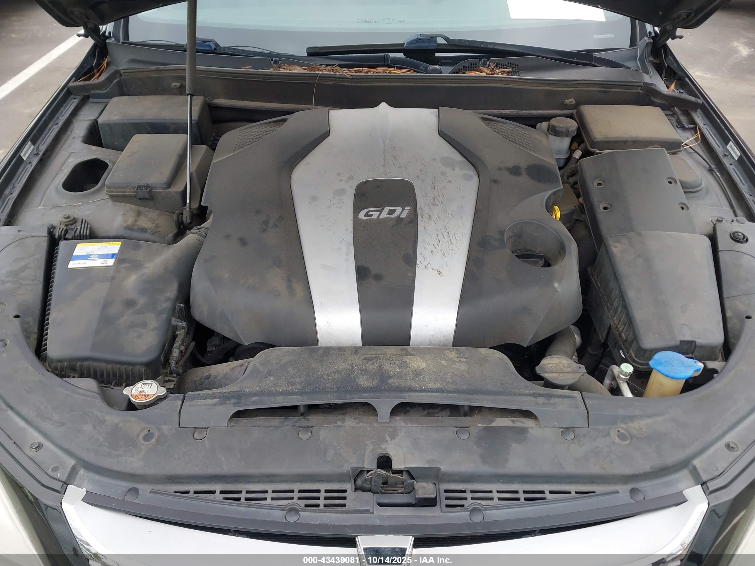 HYUNDAI GENESIS image 10