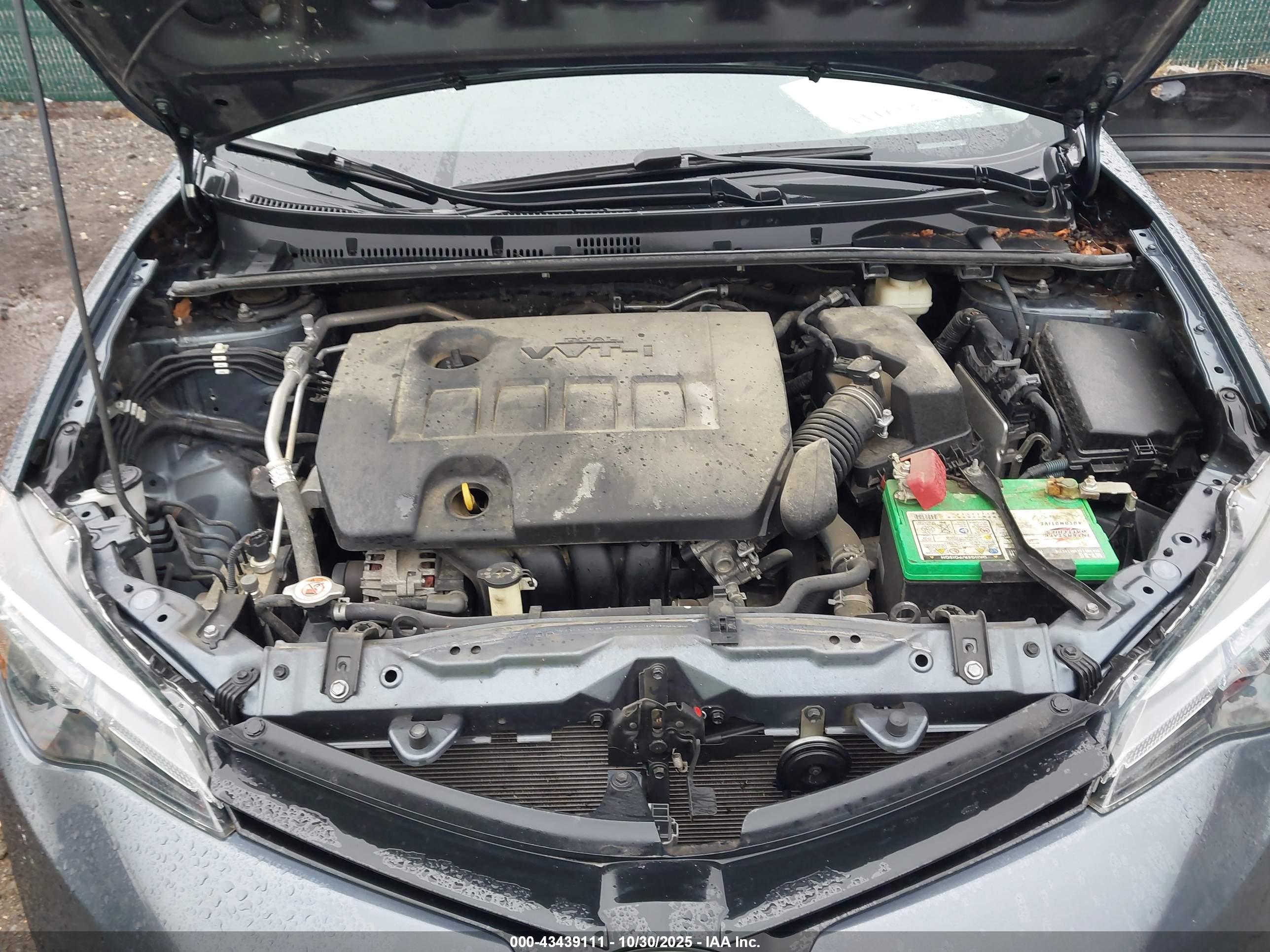 TOYOTA COROLLA image 10