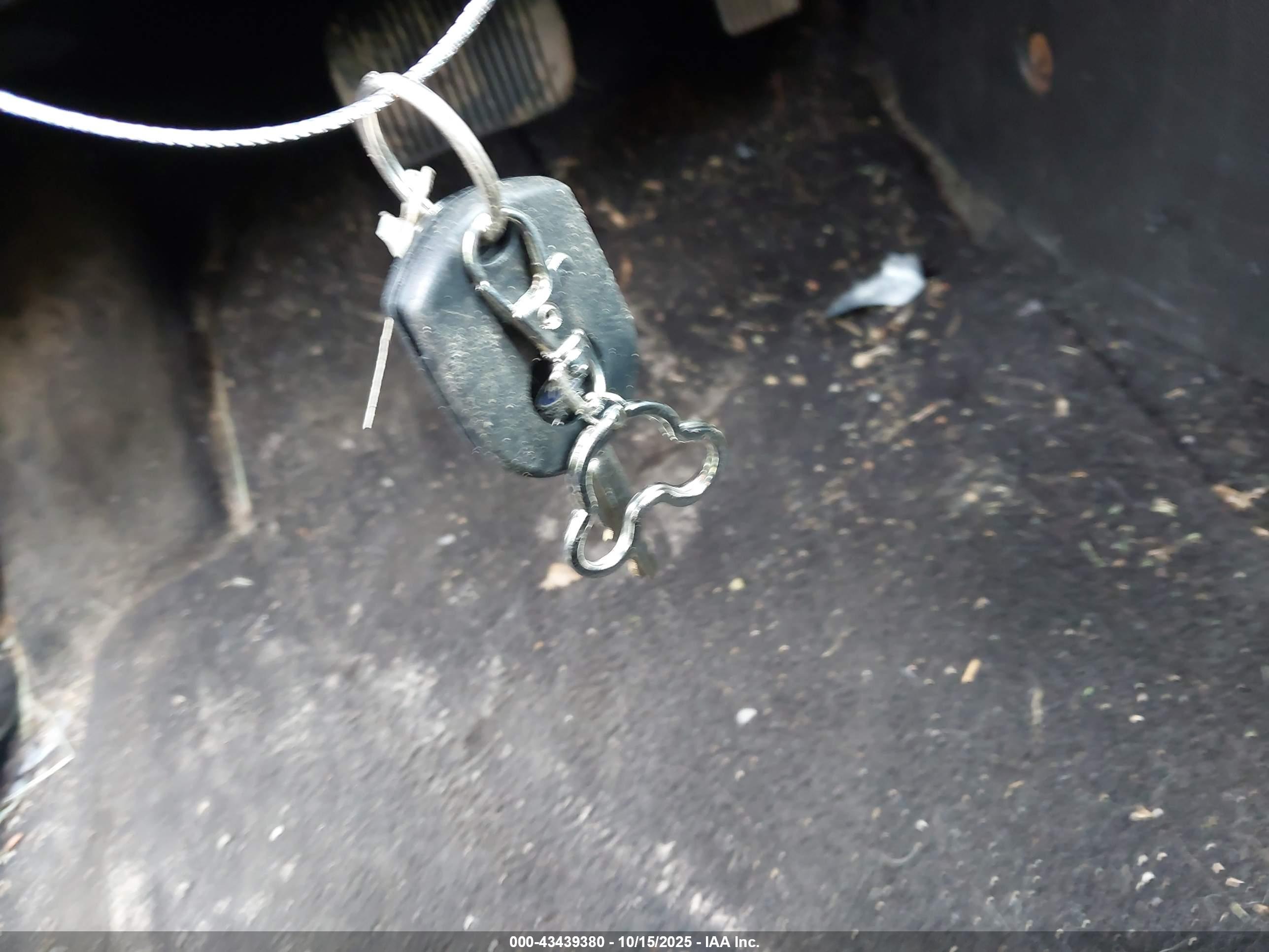 FORD ESCAPE image 11
