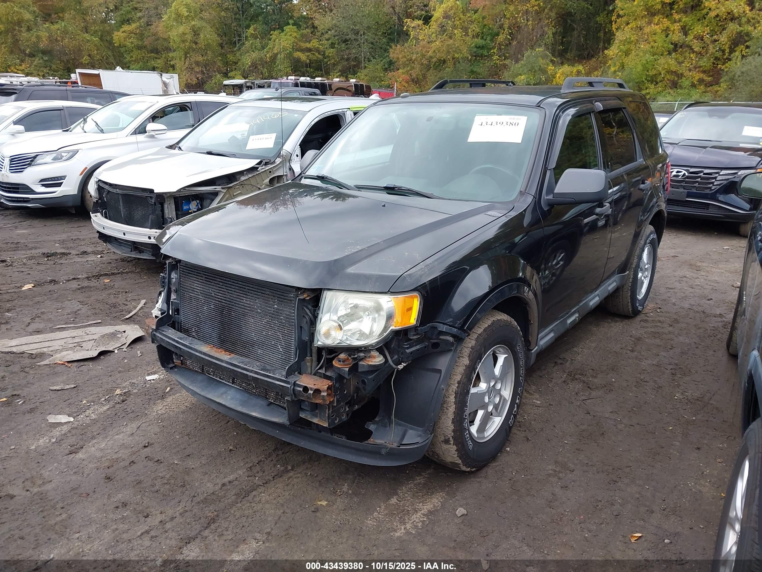 FORD ESCAPE image 2
