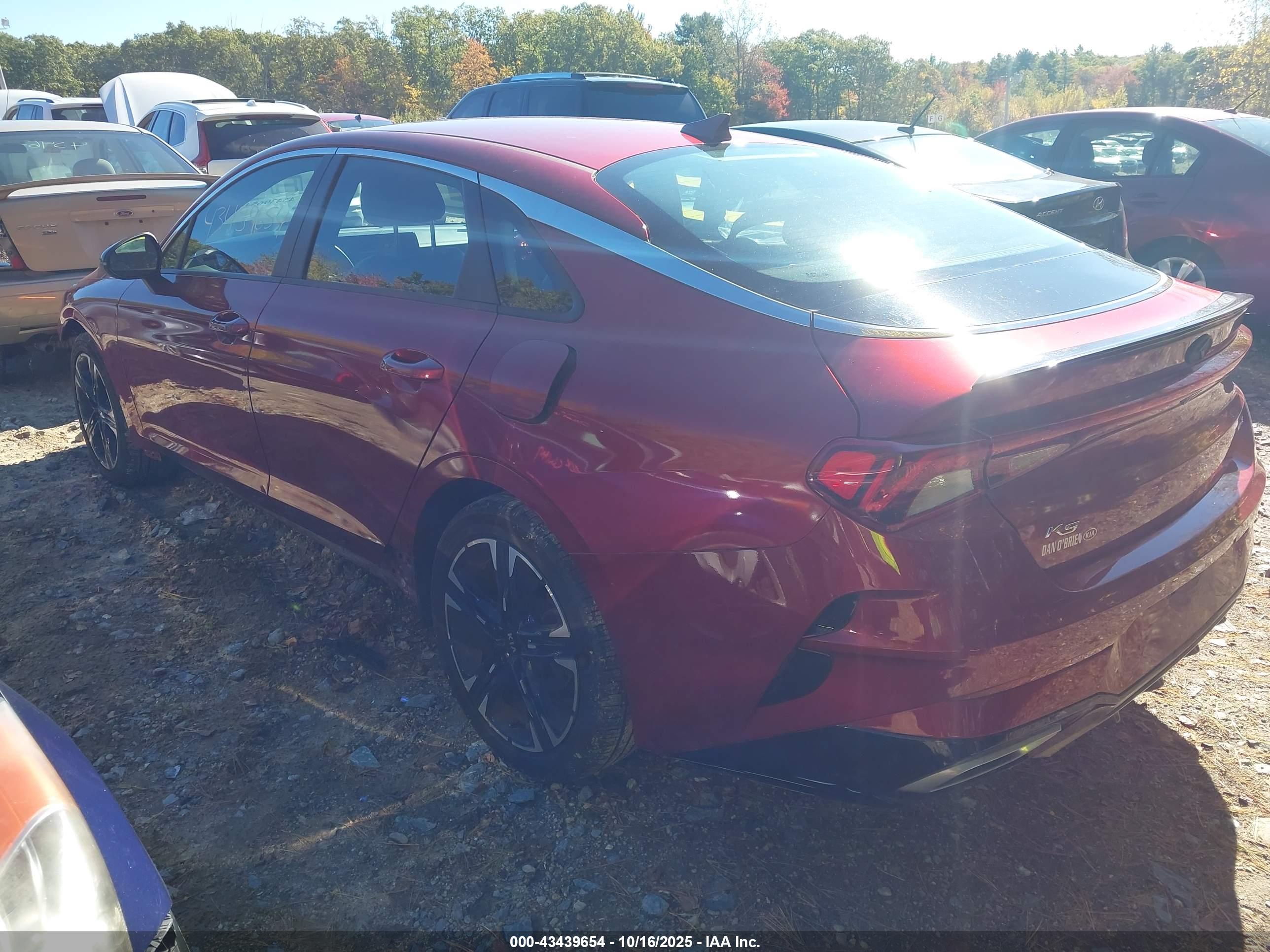 KIA K5 image 3