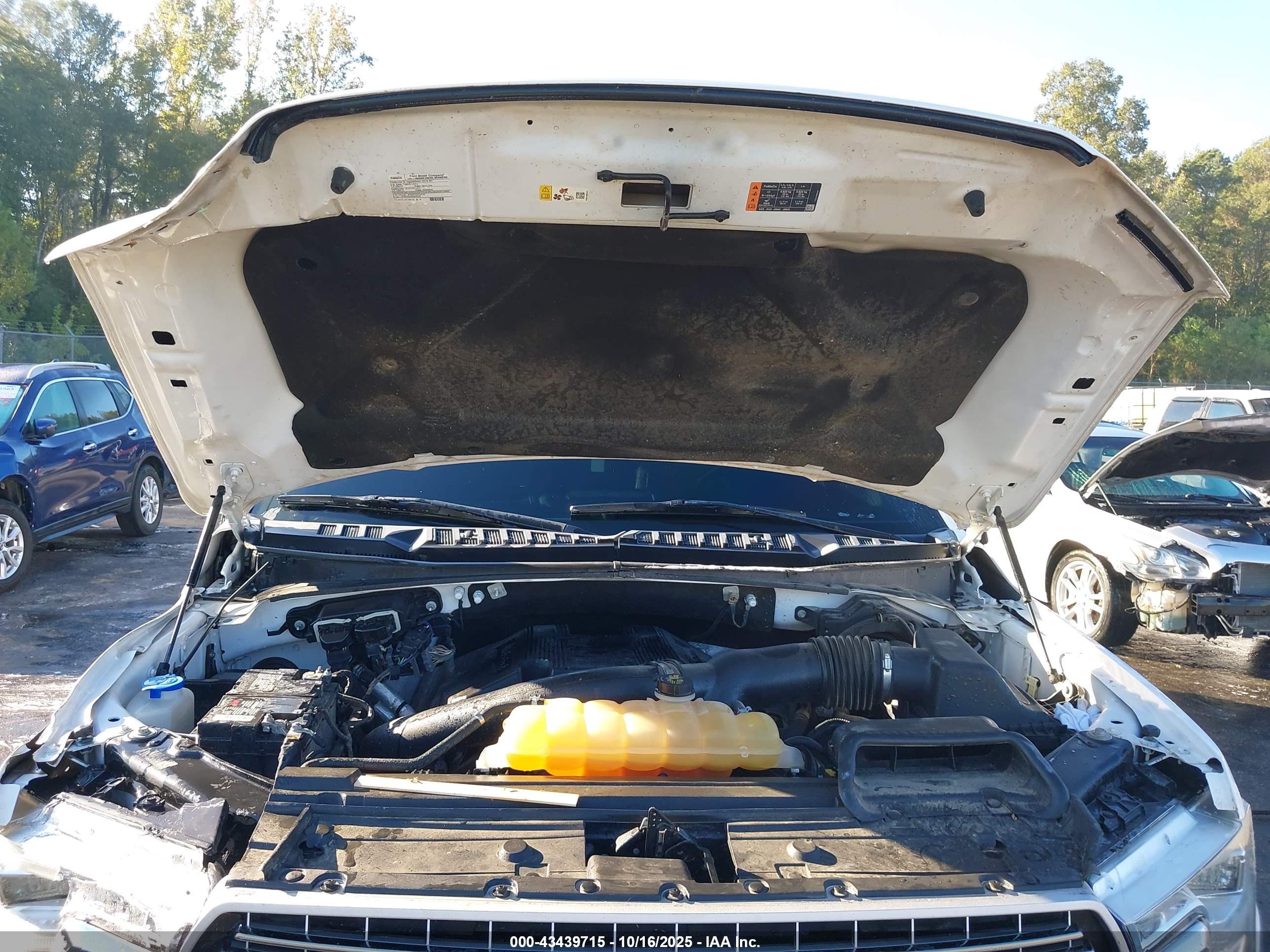 FORD F-150 image 10