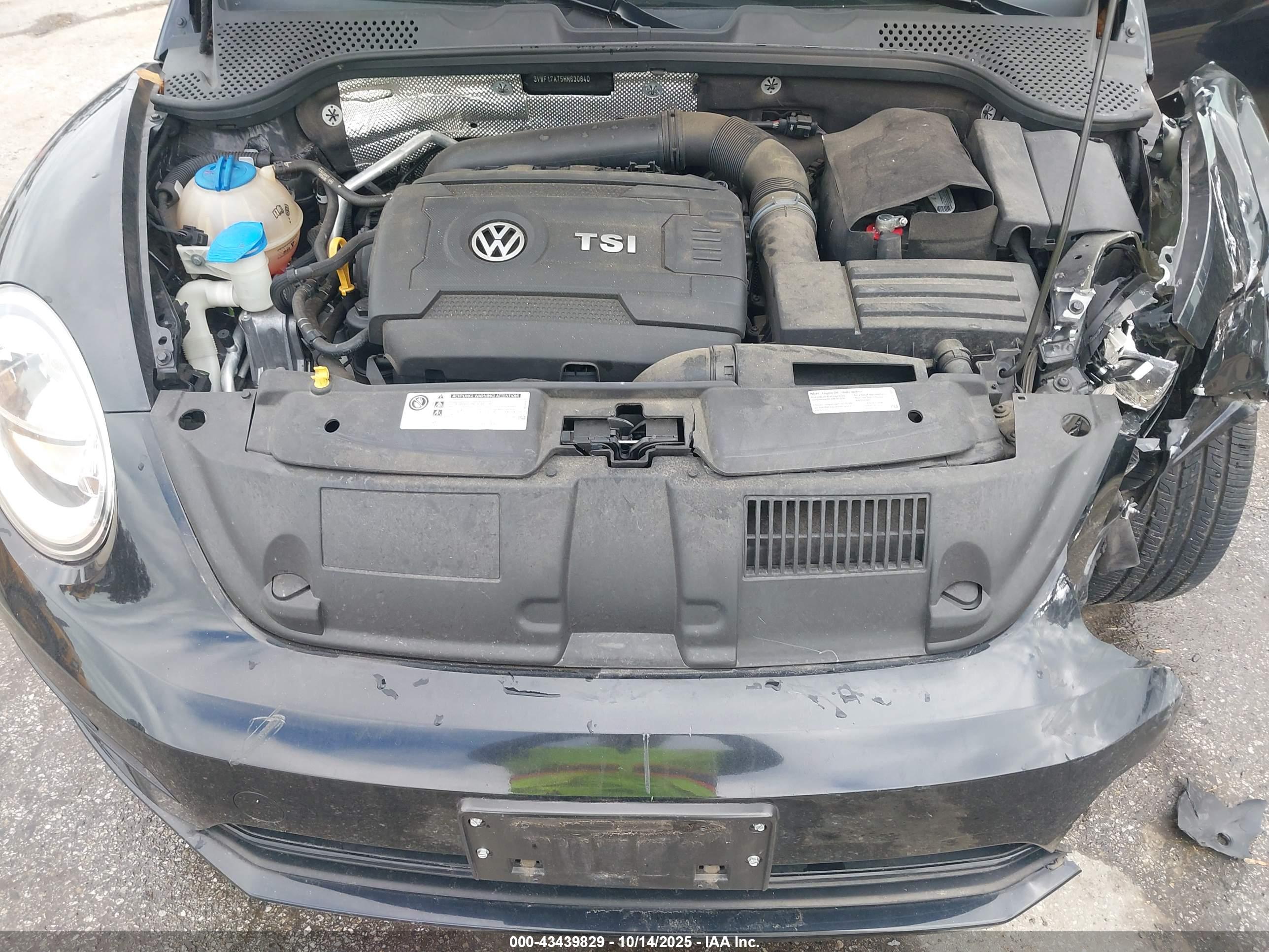 VOLKSWAGEN BEETLE image 10