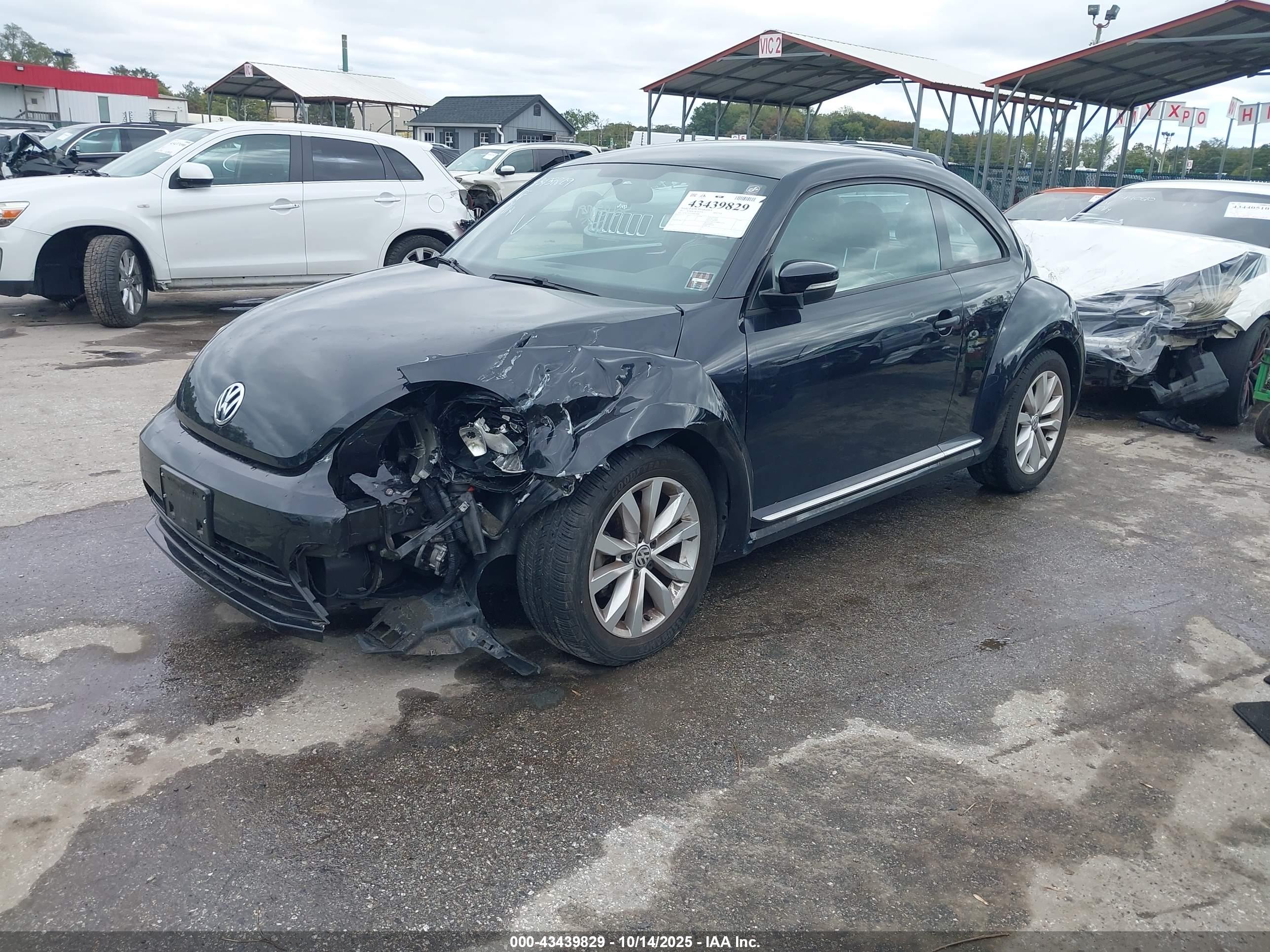 VOLKSWAGEN BEETLE image 2