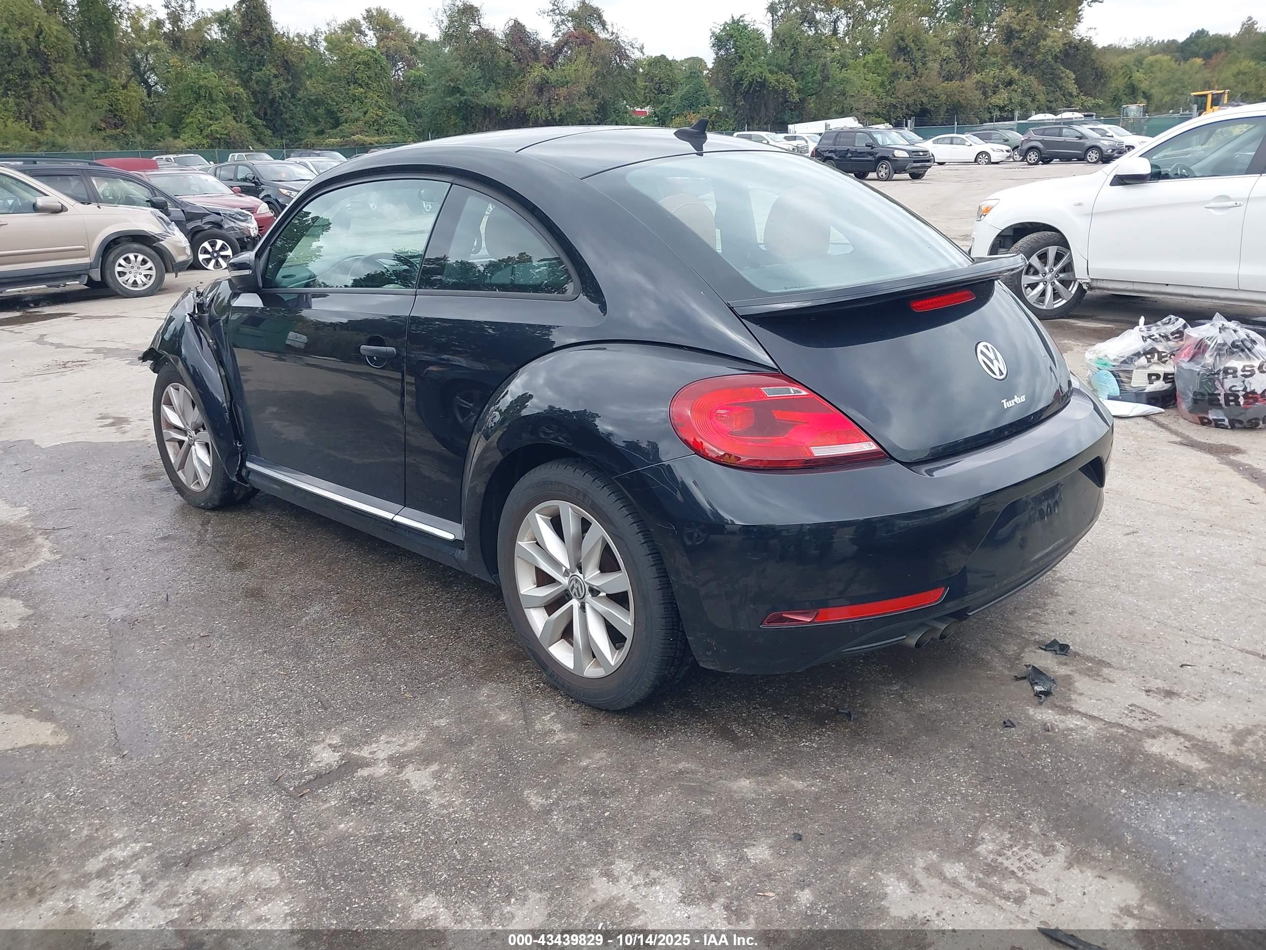 VOLKSWAGEN BEETLE image 3