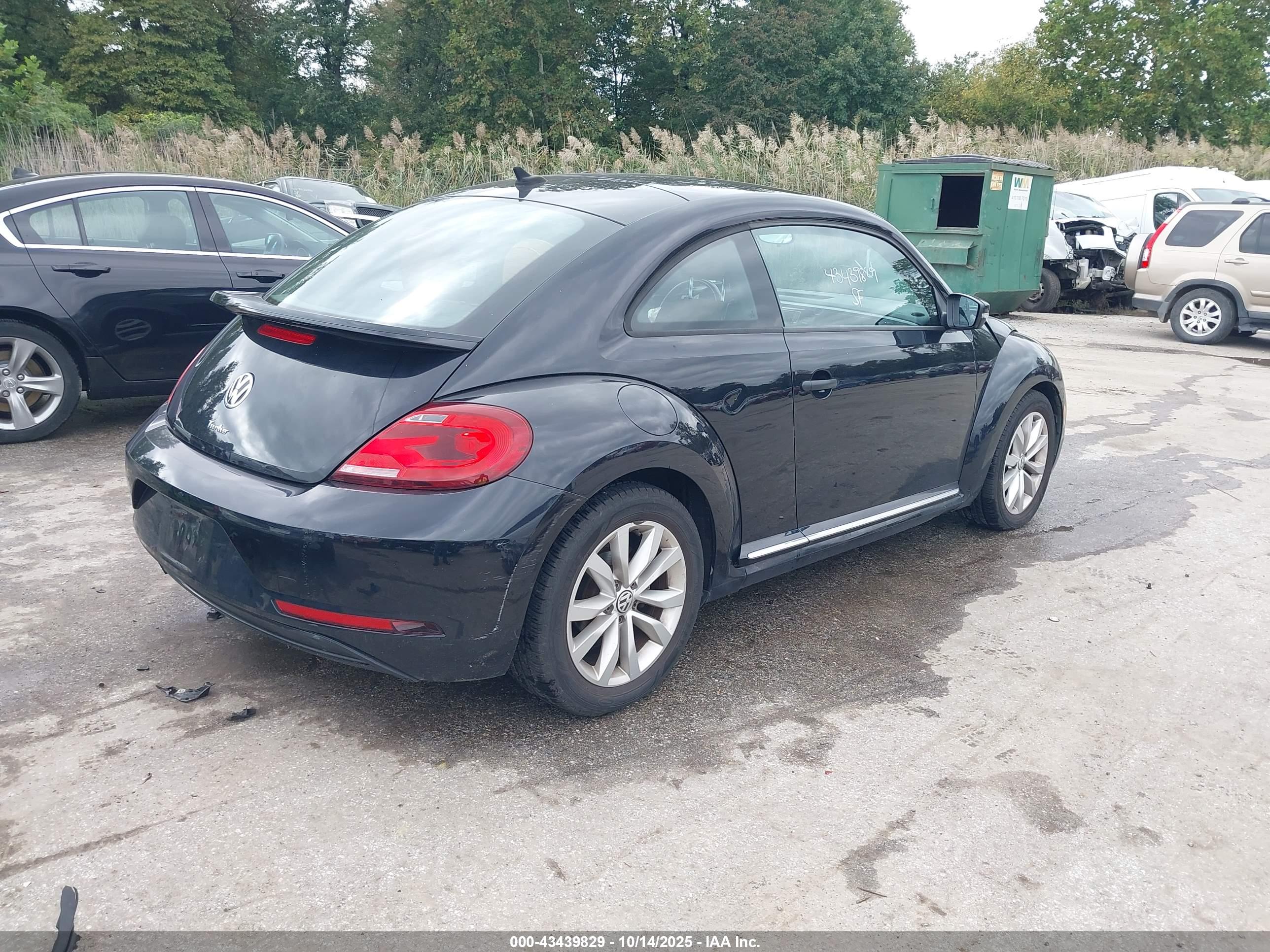 VOLKSWAGEN BEETLE image 4