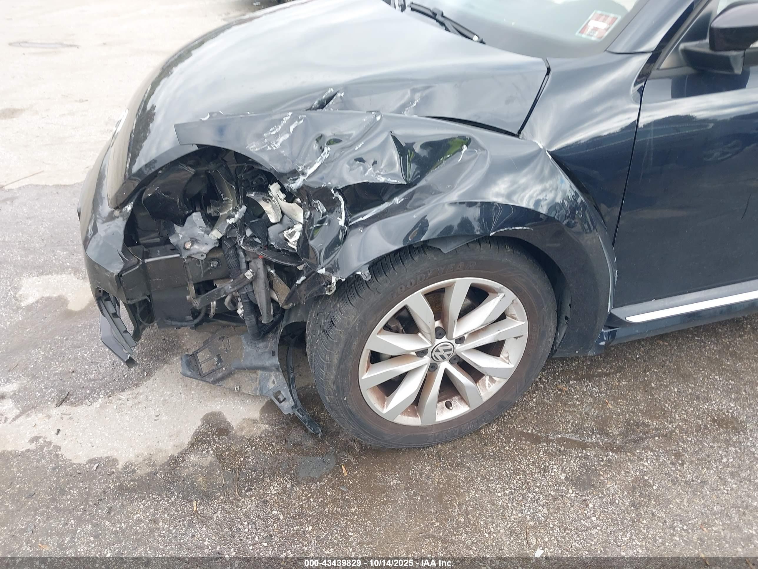 VOLKSWAGEN BEETLE image 6