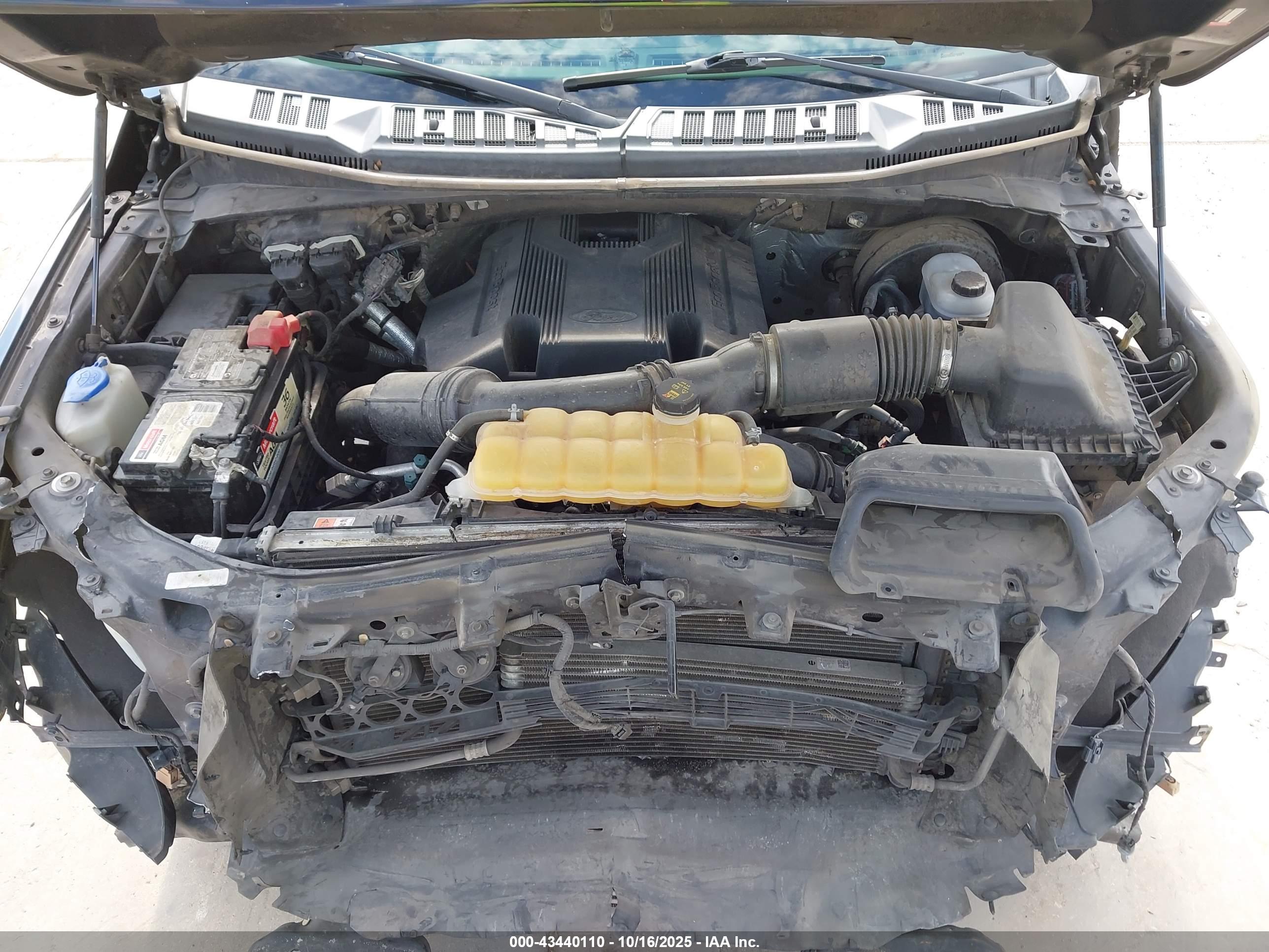 FORD F-150 image 10