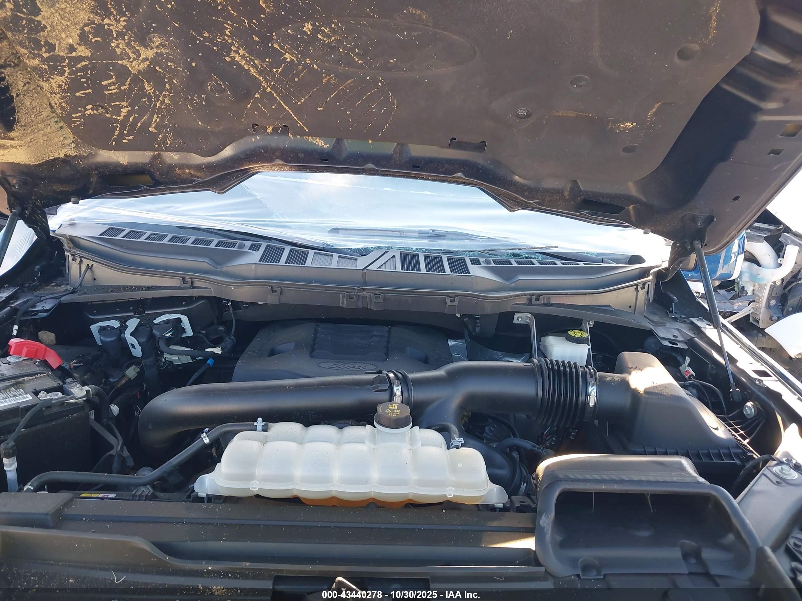 FORD F-150 image 10