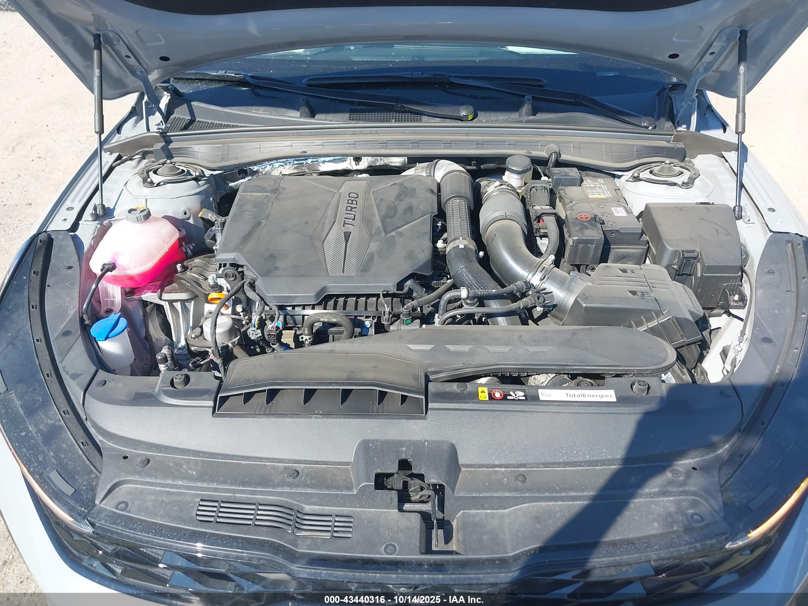KIA K5 image 10